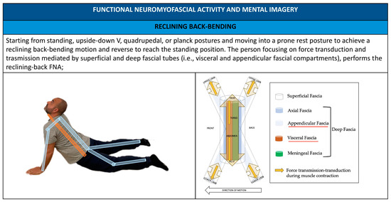 neutral-neck-alignment-image - Cornerstone Therapy & Wellness