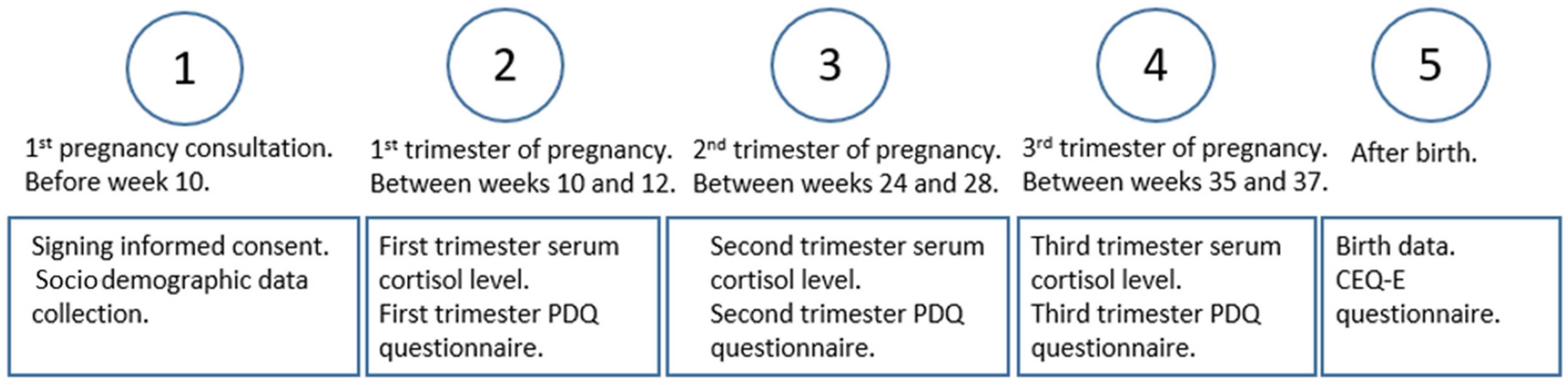 Healthcare Free Full Text Prenatal Stress as a Risk Factor for