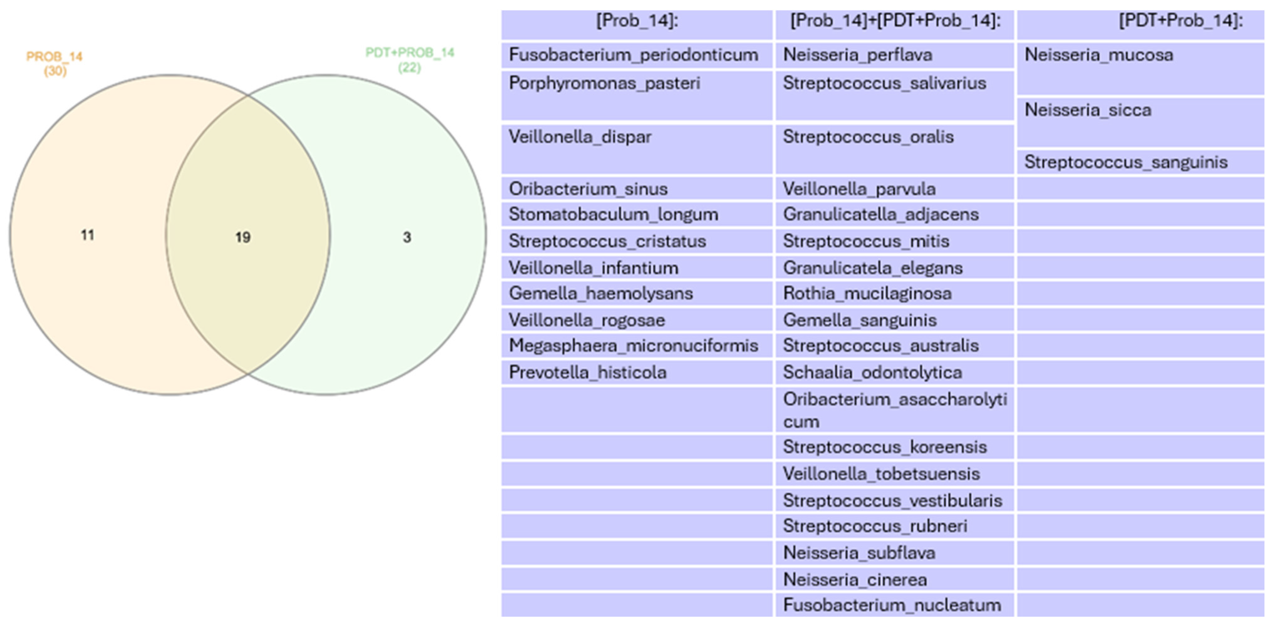 Healthcare 12 01123 g013