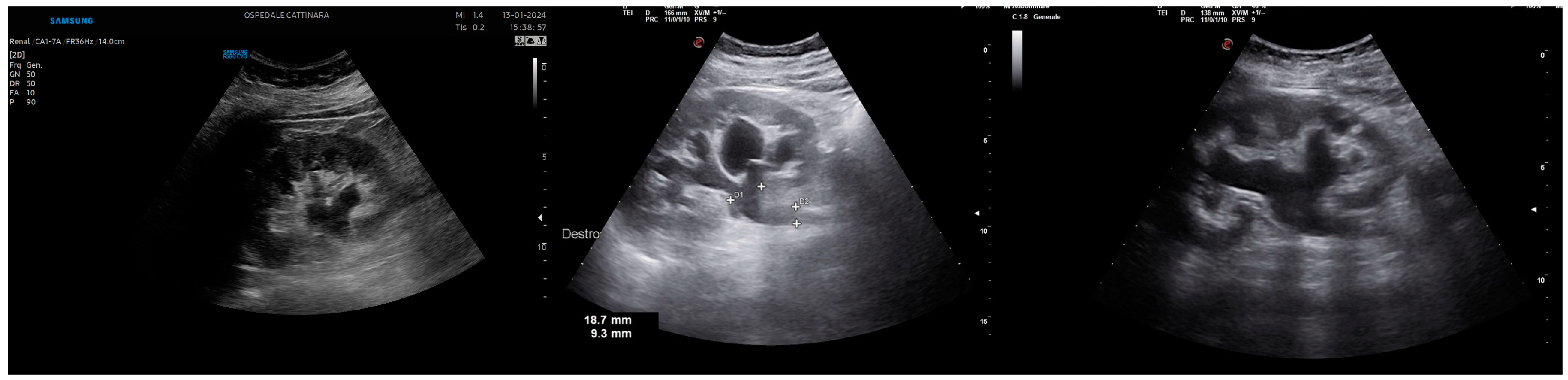 Healthcare 12 01356 g001 Healthcare 12 01356 g001