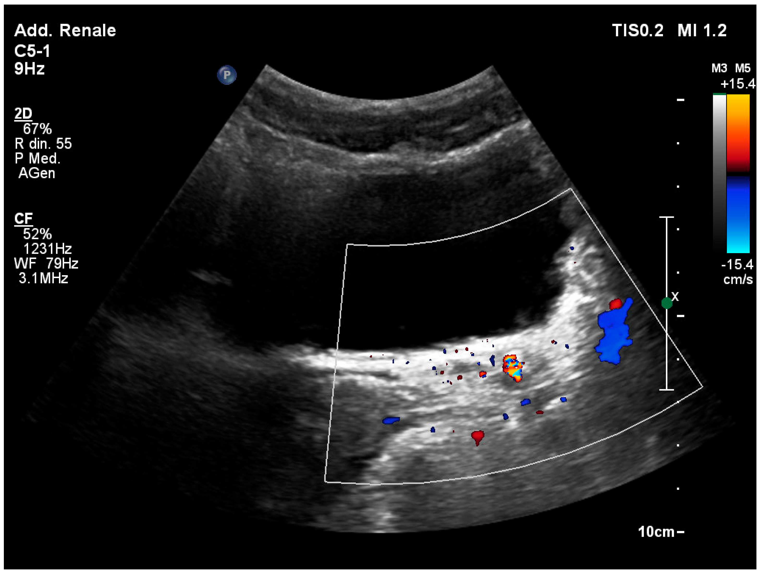 Healthcare 12 01356 g003 Healthcare 12 01356 g003