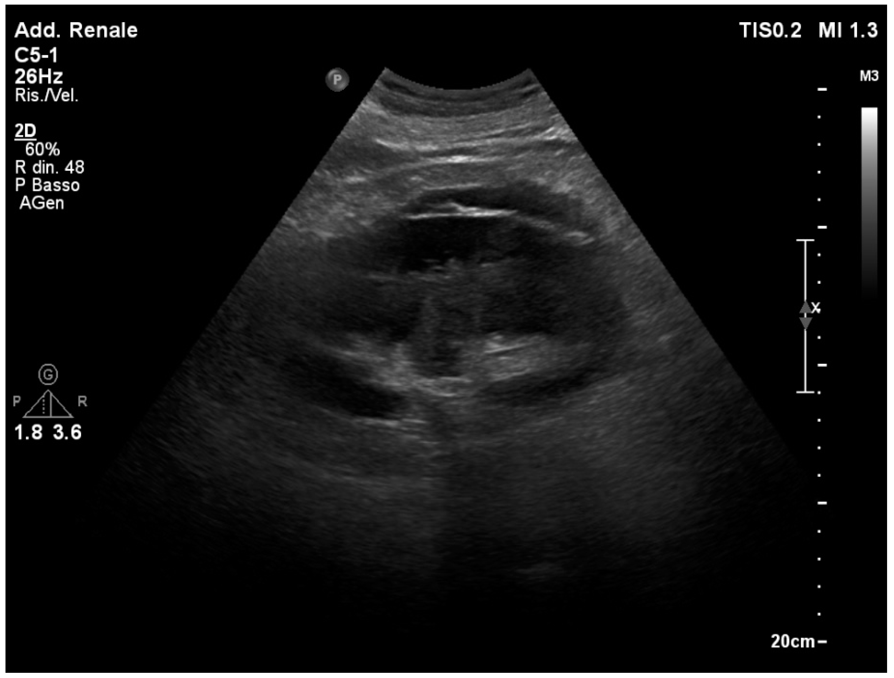 Healthcare 12 01356 g008 Healthcare 12 01356 g008