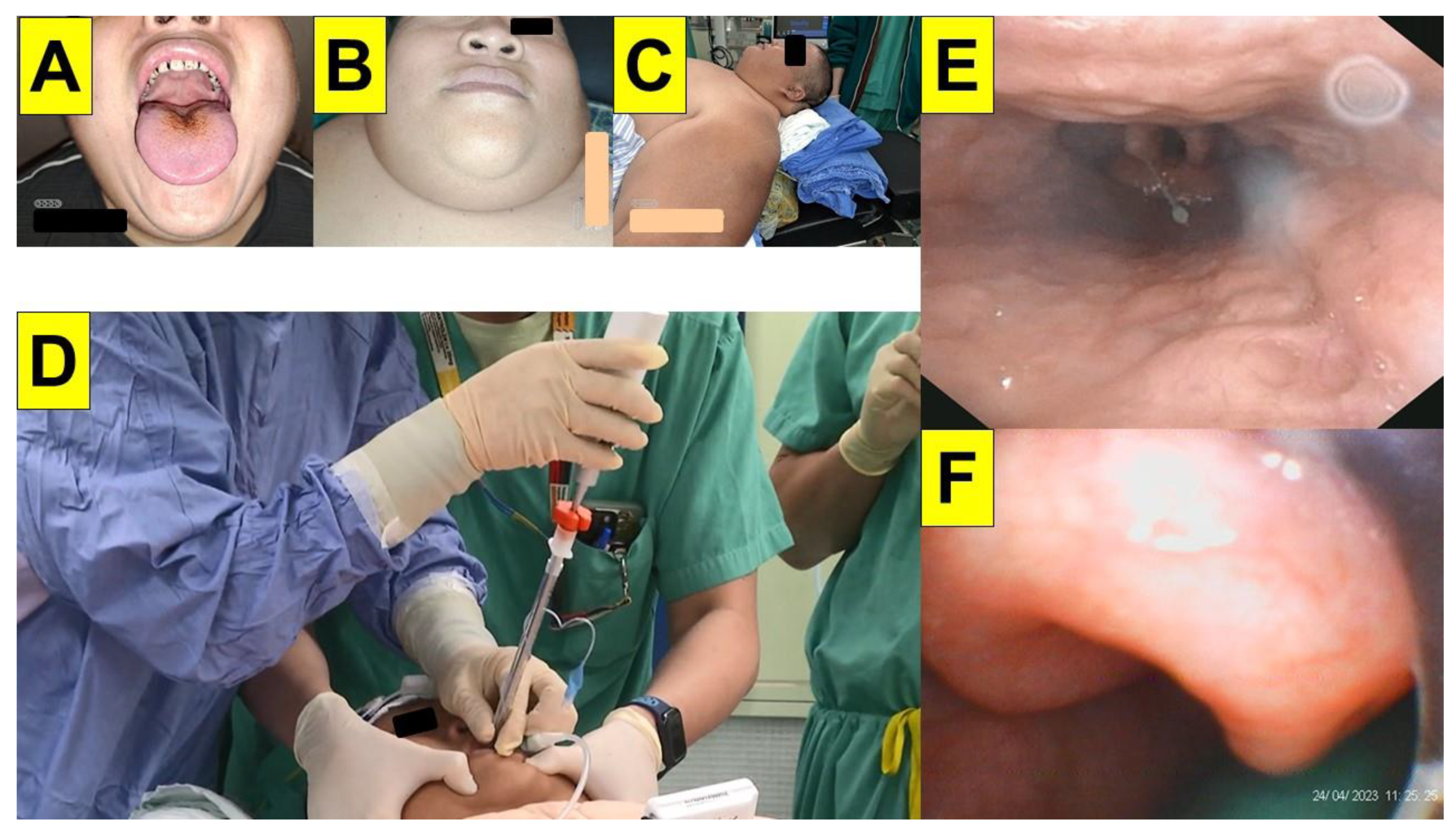 Healthcare 12 01404 g003 Healthcare 12 01404 g003