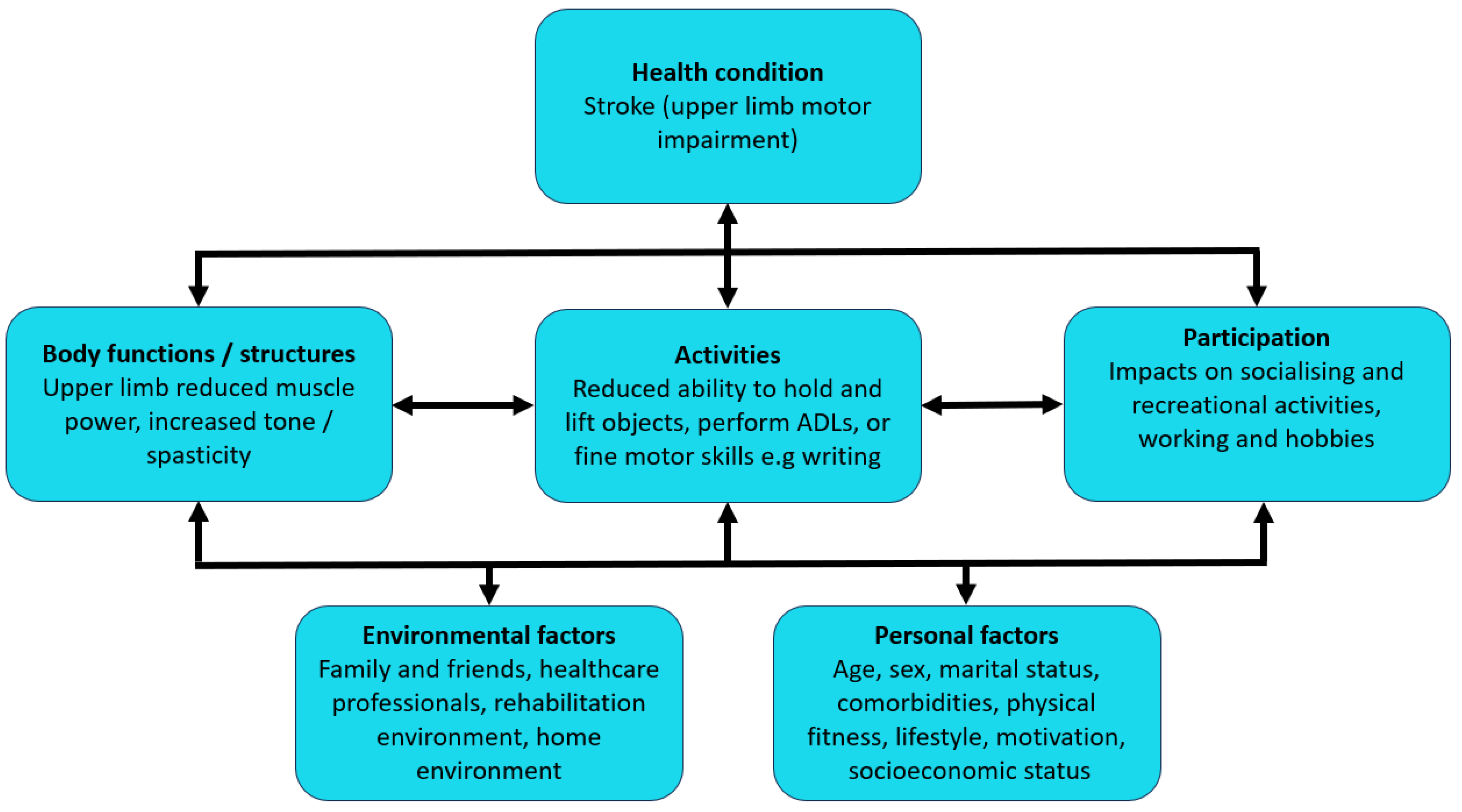 Healthcare 12 01433 g001
