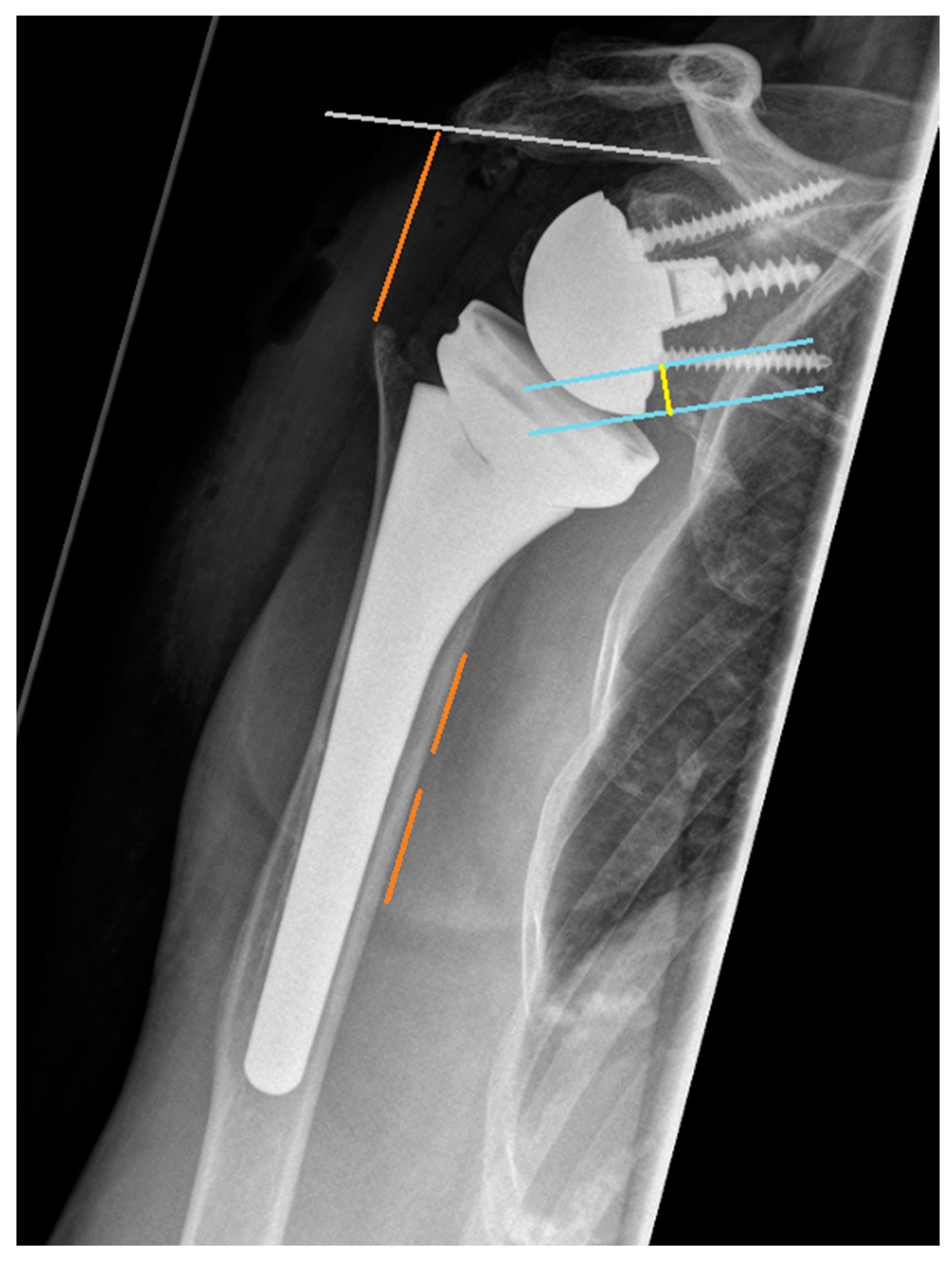 Healthcare 12 01695 g002