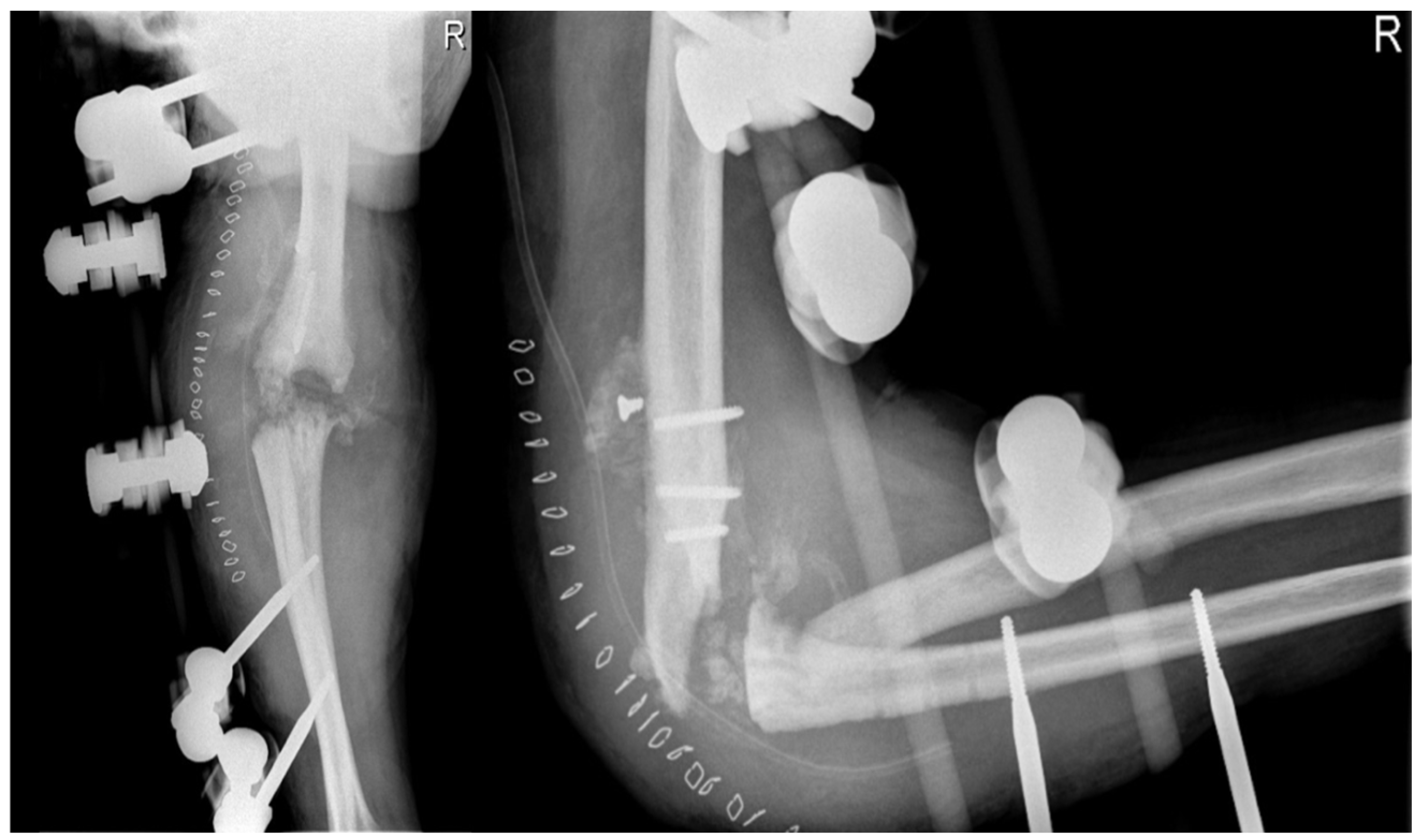 Healthcare 12 01776 g007 Healthcare 12 01776 g007