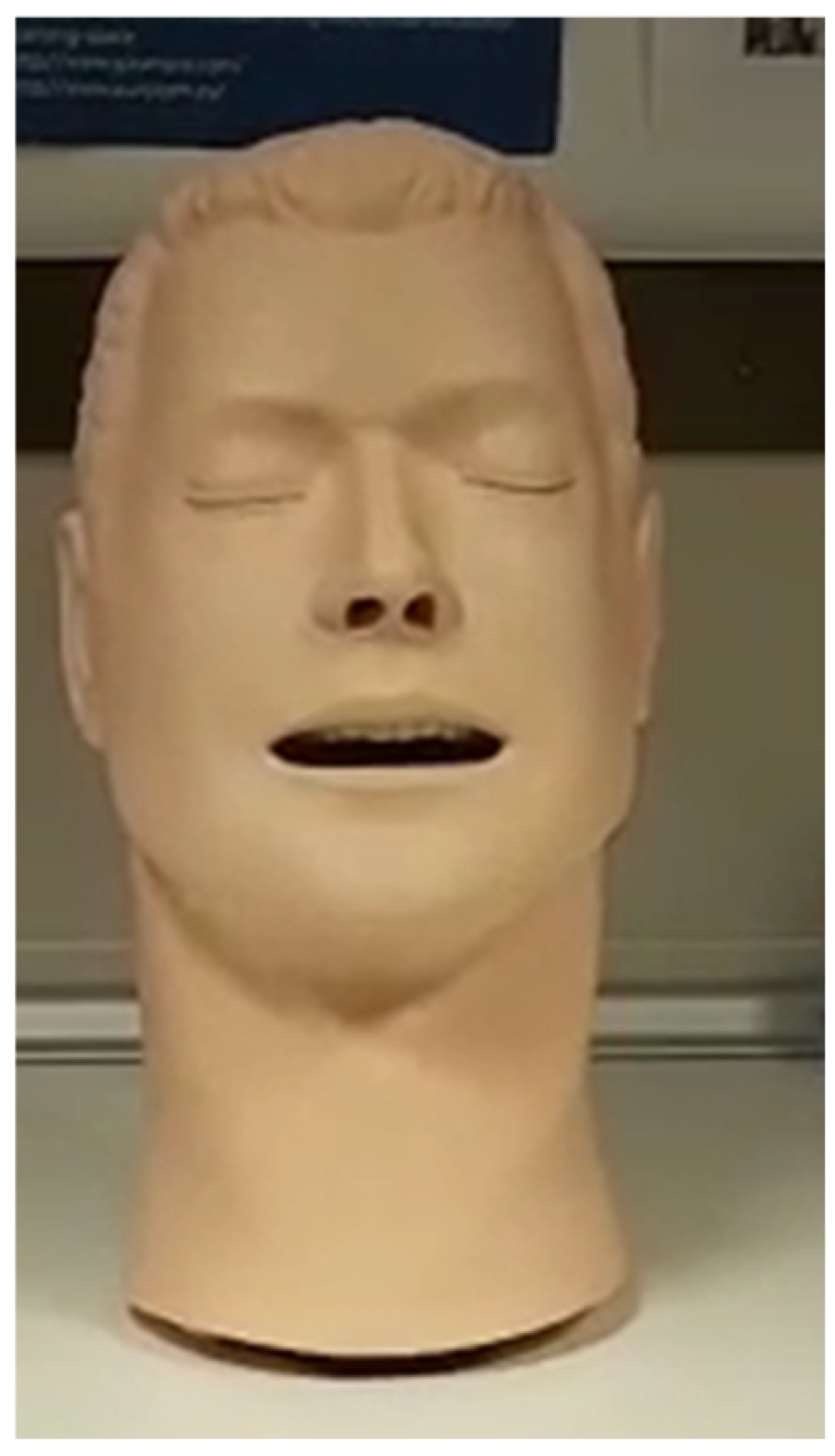 Healthcare 13 00398 g002