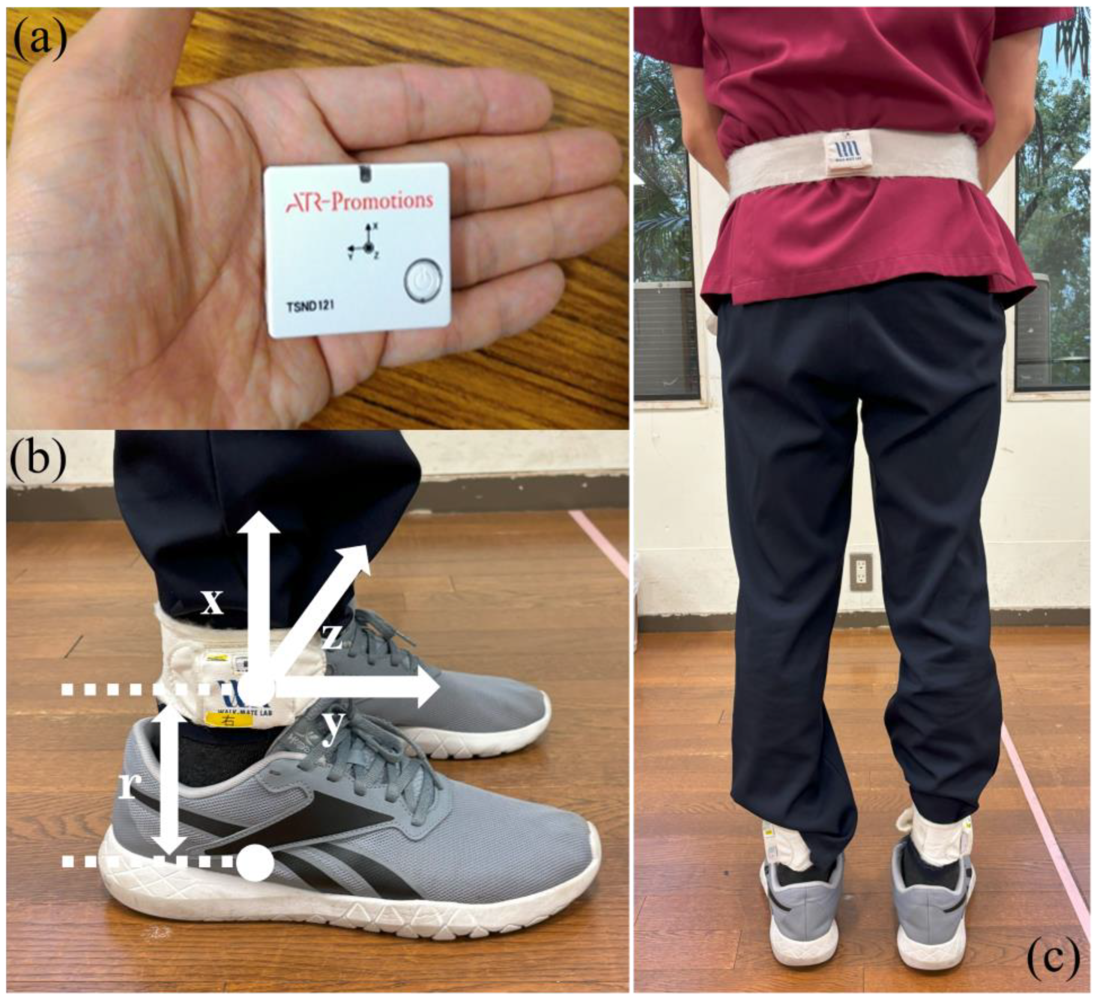 Healthcare 13 00654 g001