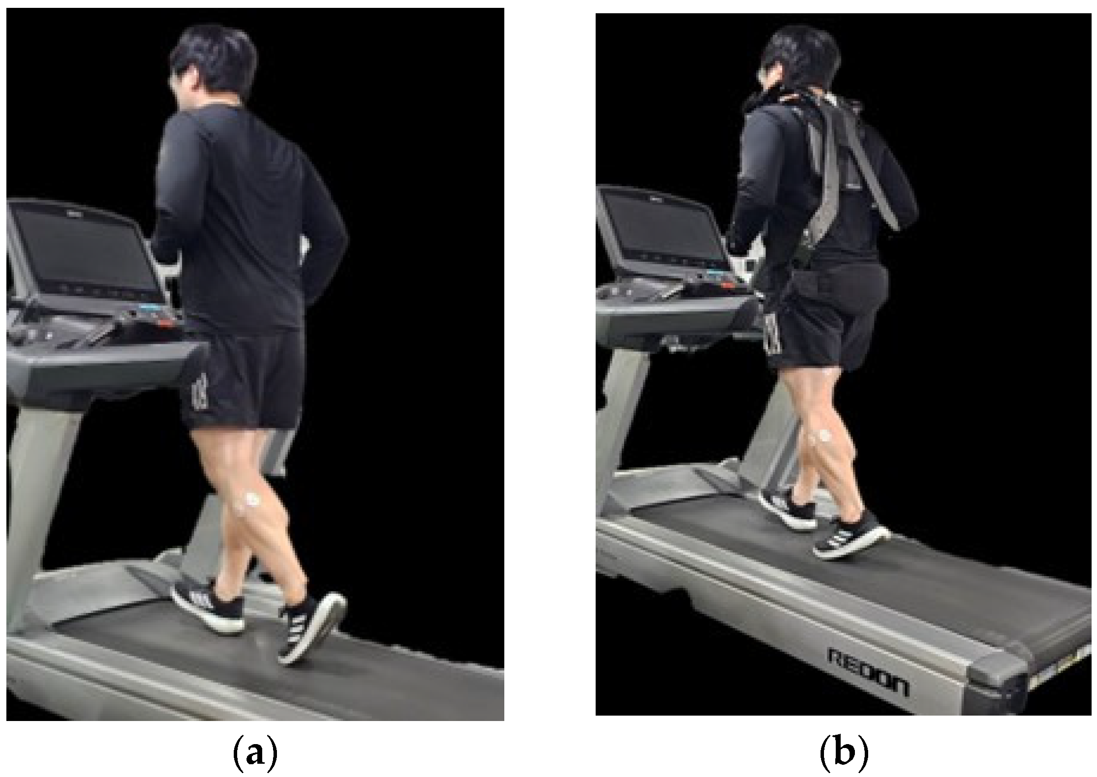 Healthcare 13 00700 g001