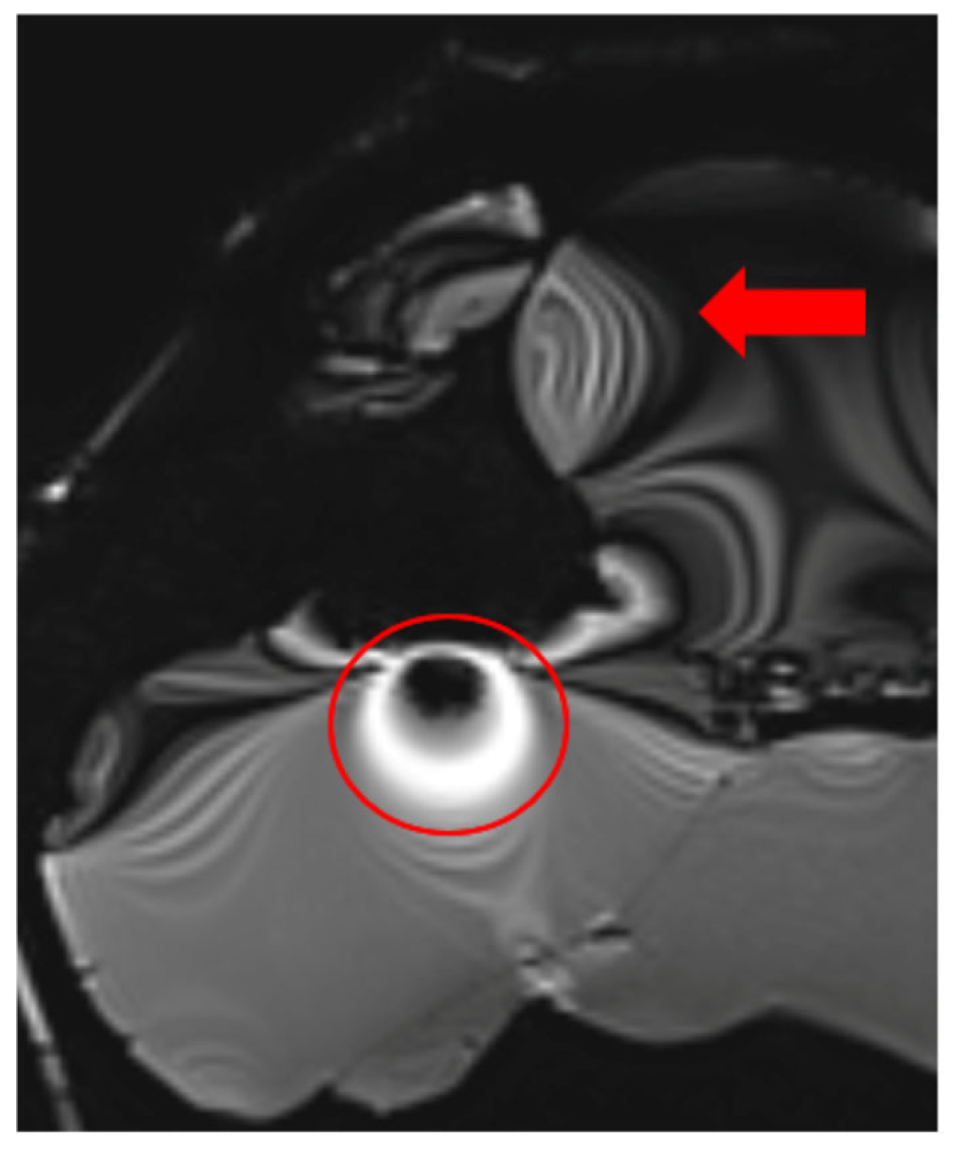 Healthcare 13 00803 g005