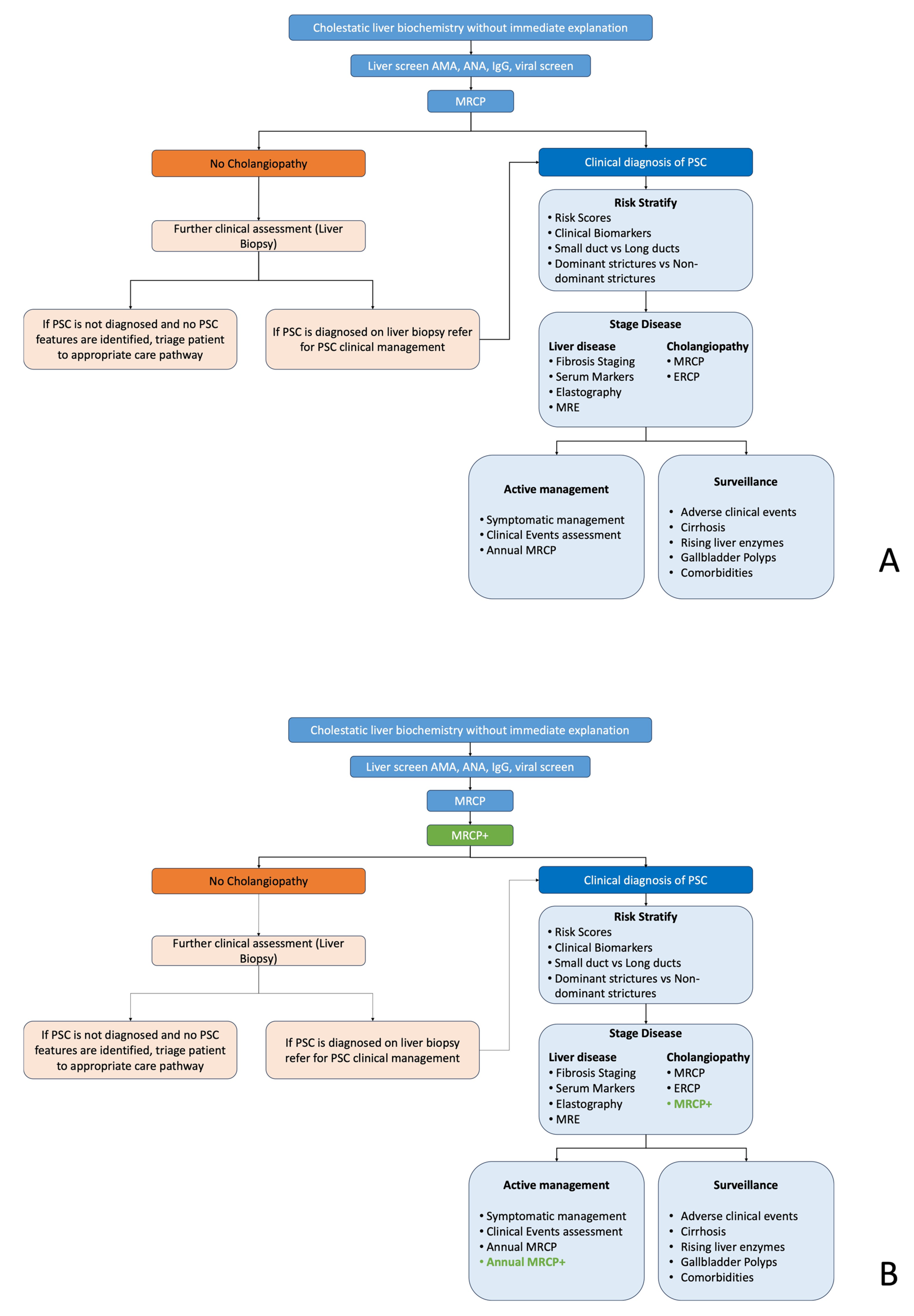 Healthcare 13 02630 g001 Healthcare 13 02630 g001