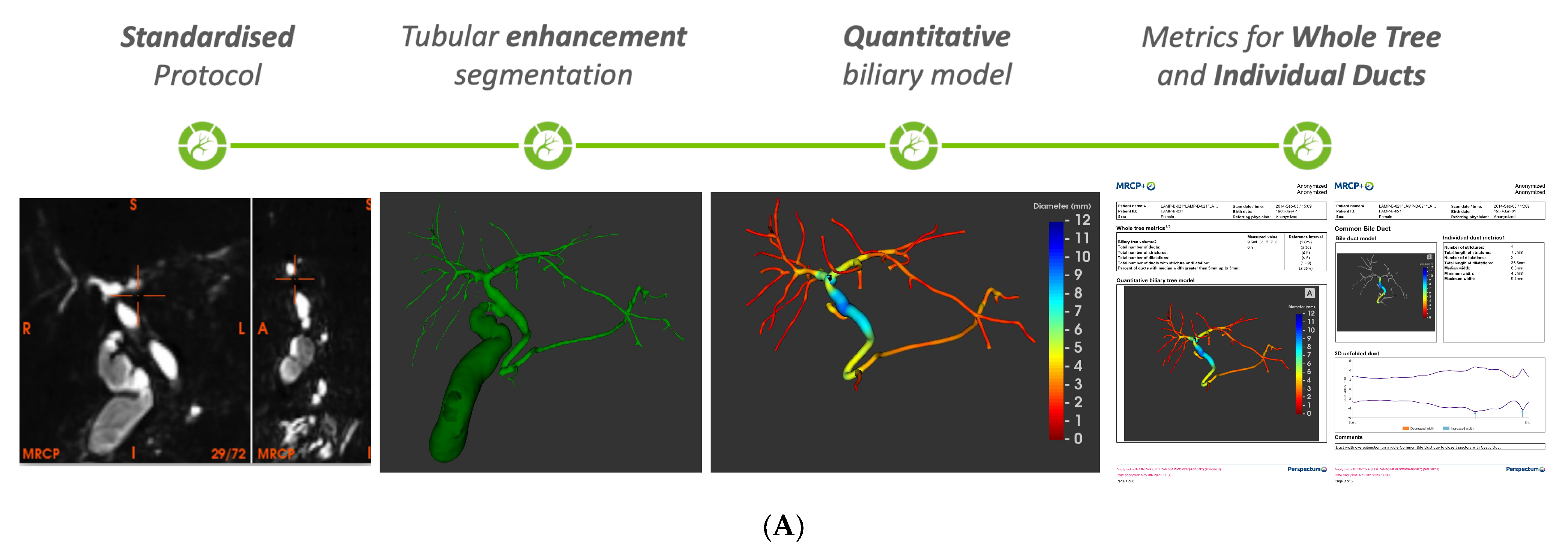 Healthcare 13 02630 g002a Healthcare 13 02630 g002a