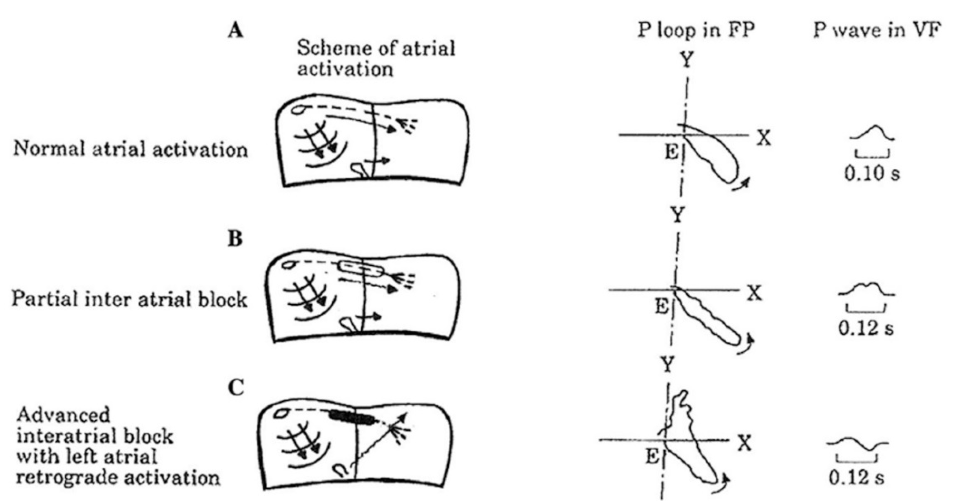 Hearts 02 00033 g001 Hearts 02 00033 g001