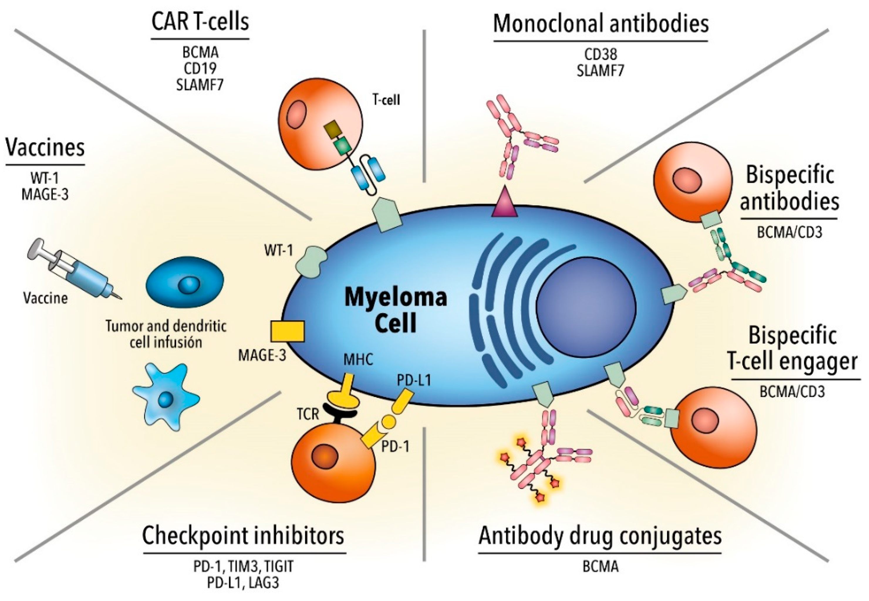 Hemato | Free Full-Text | Why Immunotherapy Fails in Multiple Myeloma | HTML