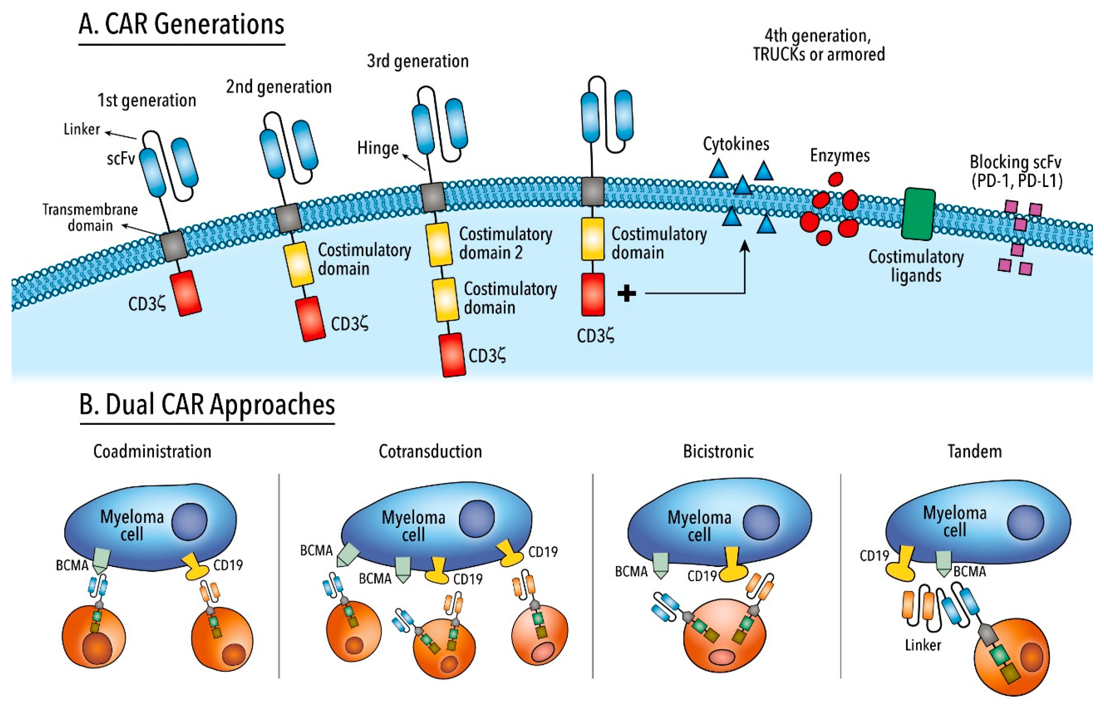 Hemato 02 00001 g002