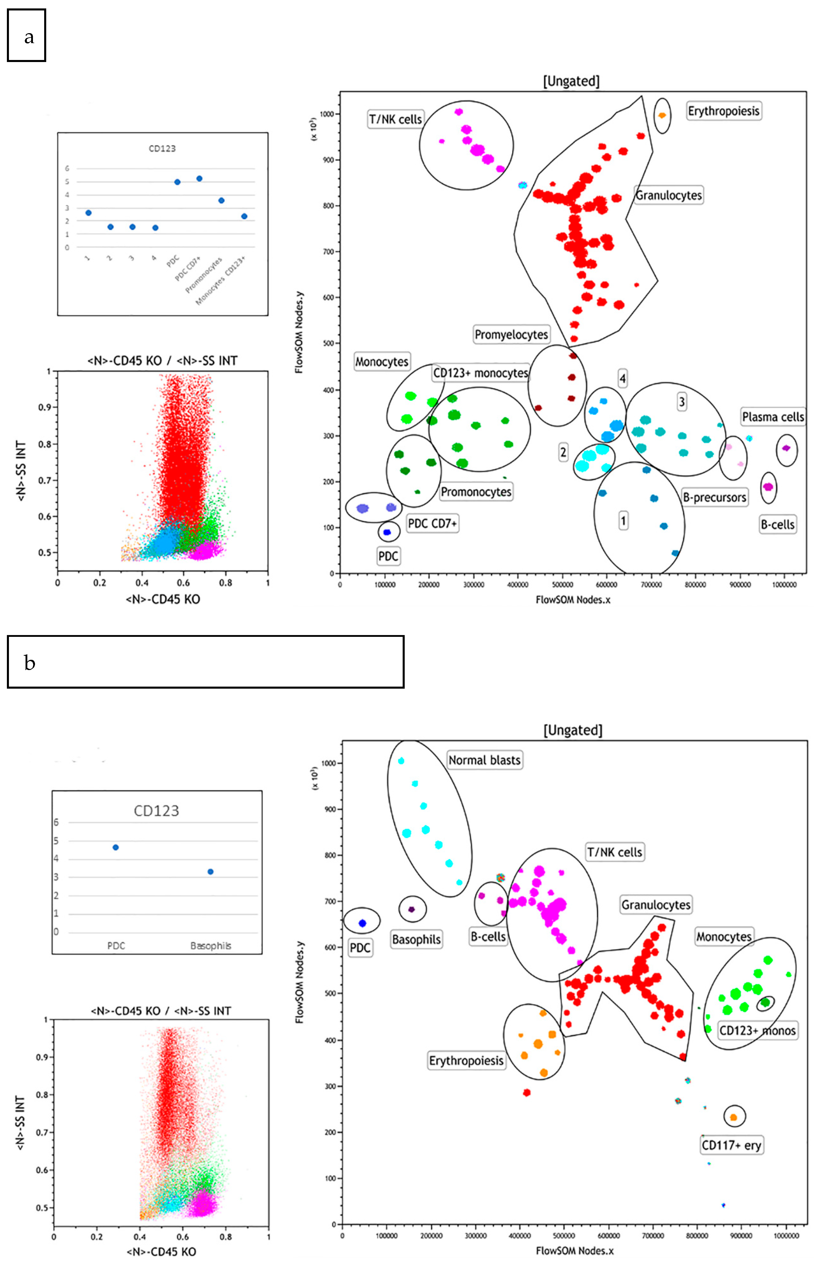 Hemato 02 00036 g004