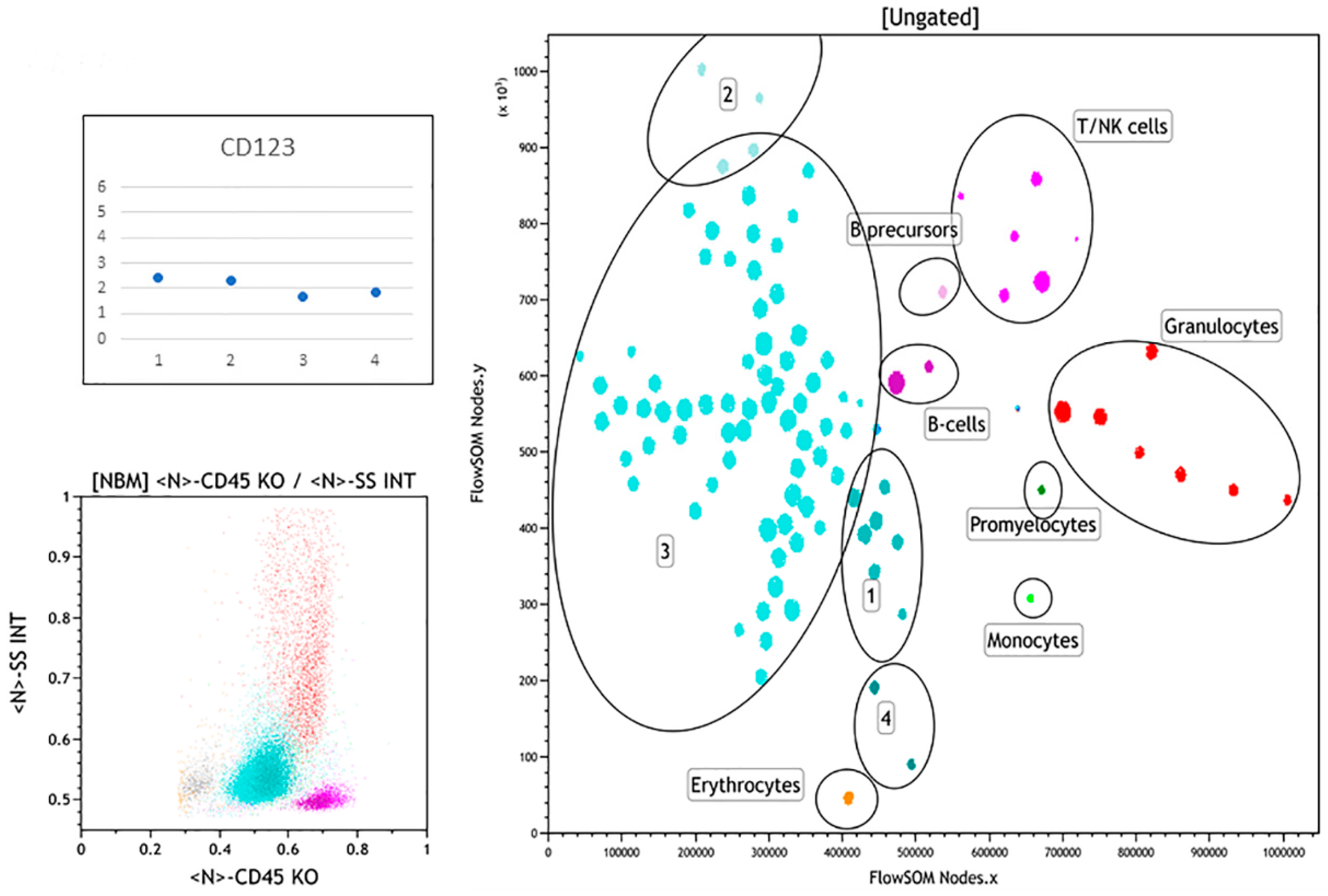 Hemato 02 00036 g005