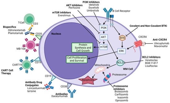 Hemato | Free Full-Text | BTK Inhibitors and Other Targeted Therapies ...