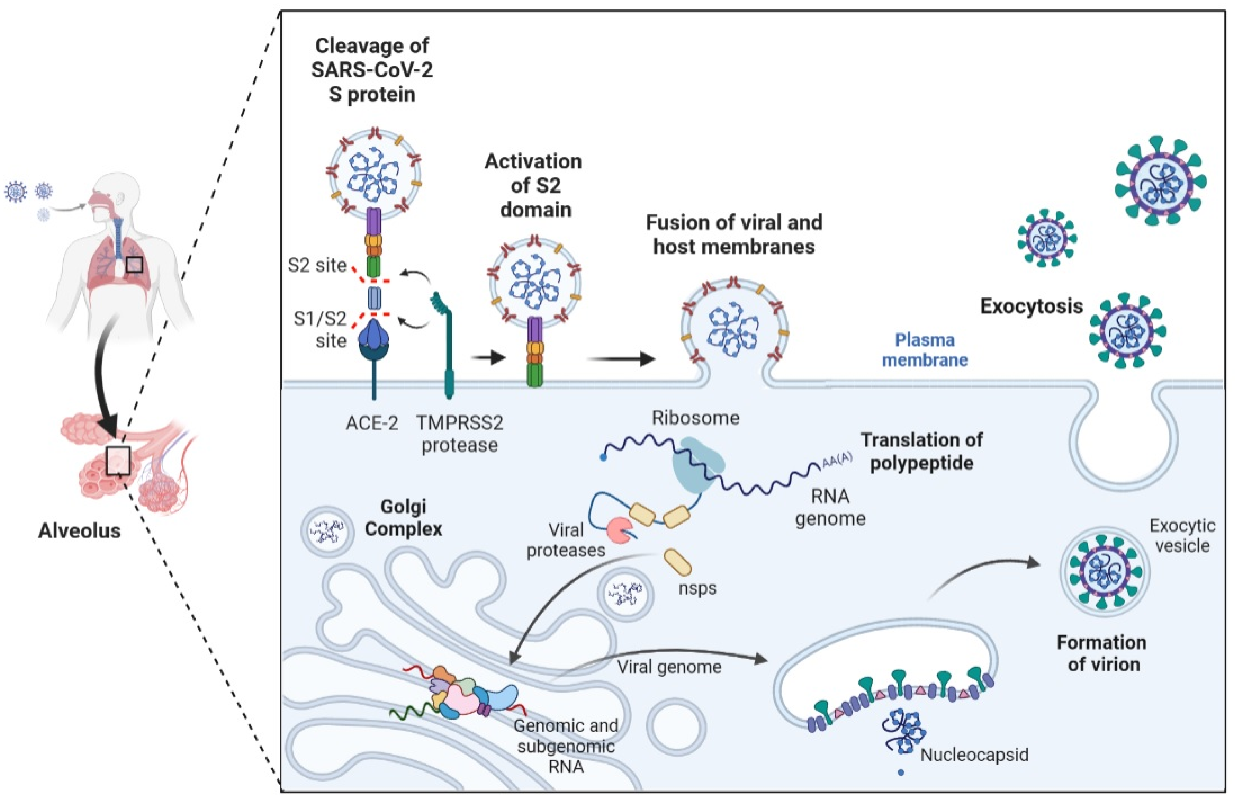 Hemato 04 00029 g002