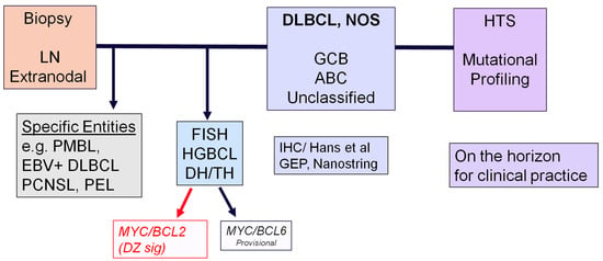 Hemato Free Full Text B And T Nk Cell Lymphomas In The 2022 International Consensus 