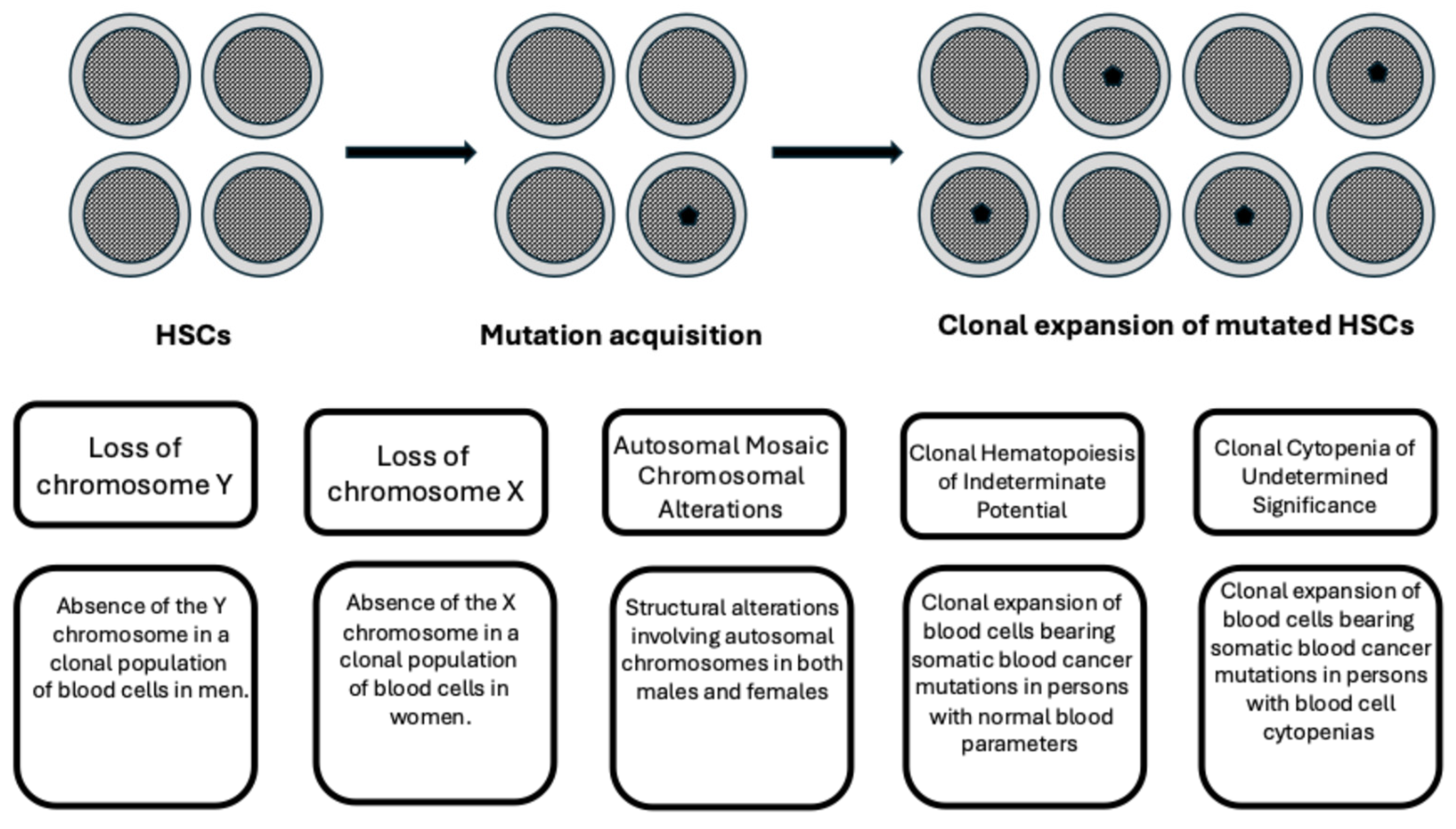Hemato 06 00010 g001
