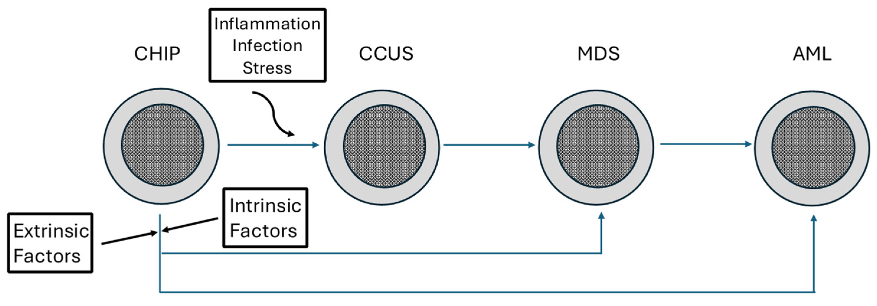 Hemato 06 00010 g003