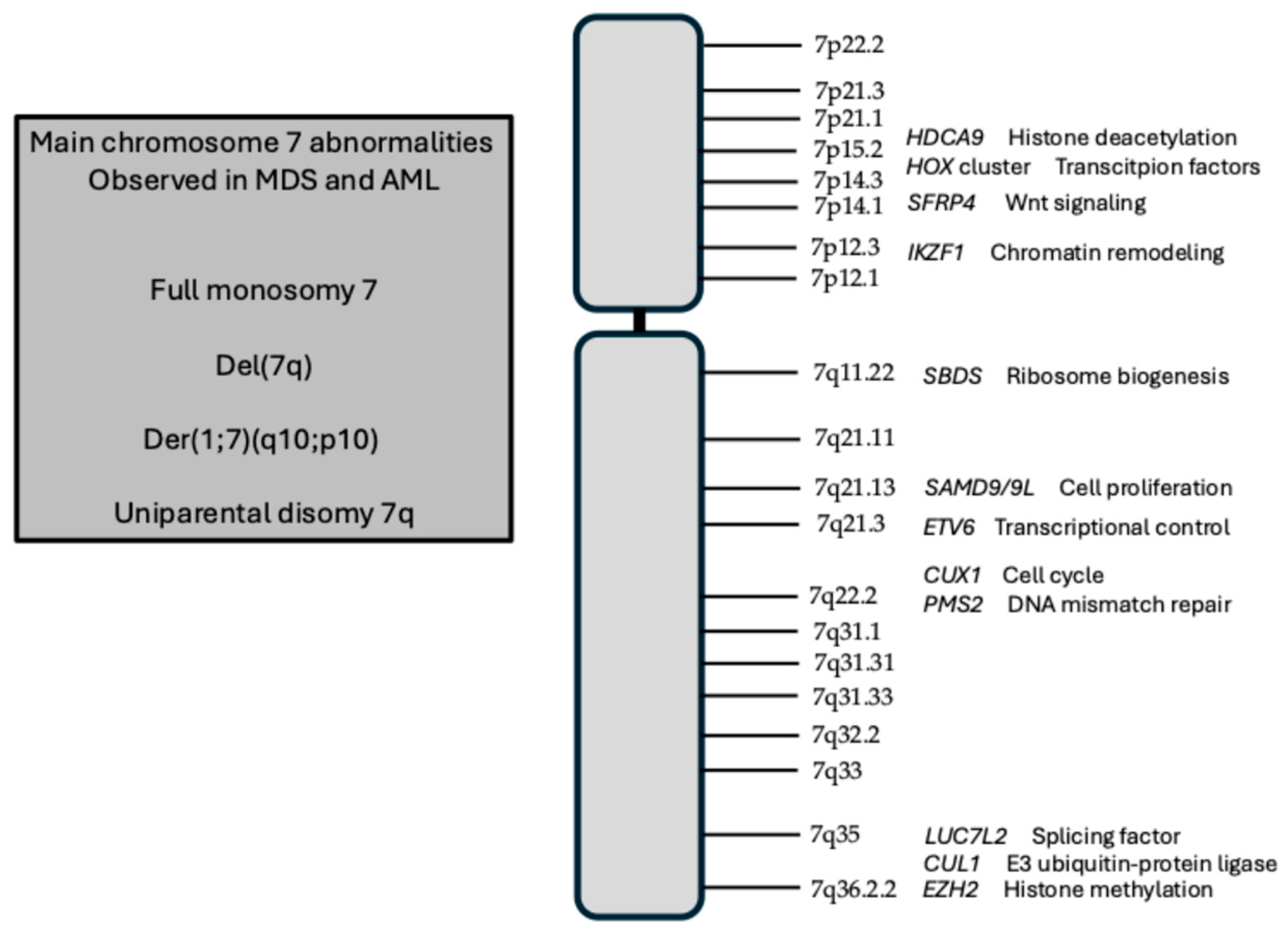 Hemato 06 00034 g001 Hemato 06 00034 g001
