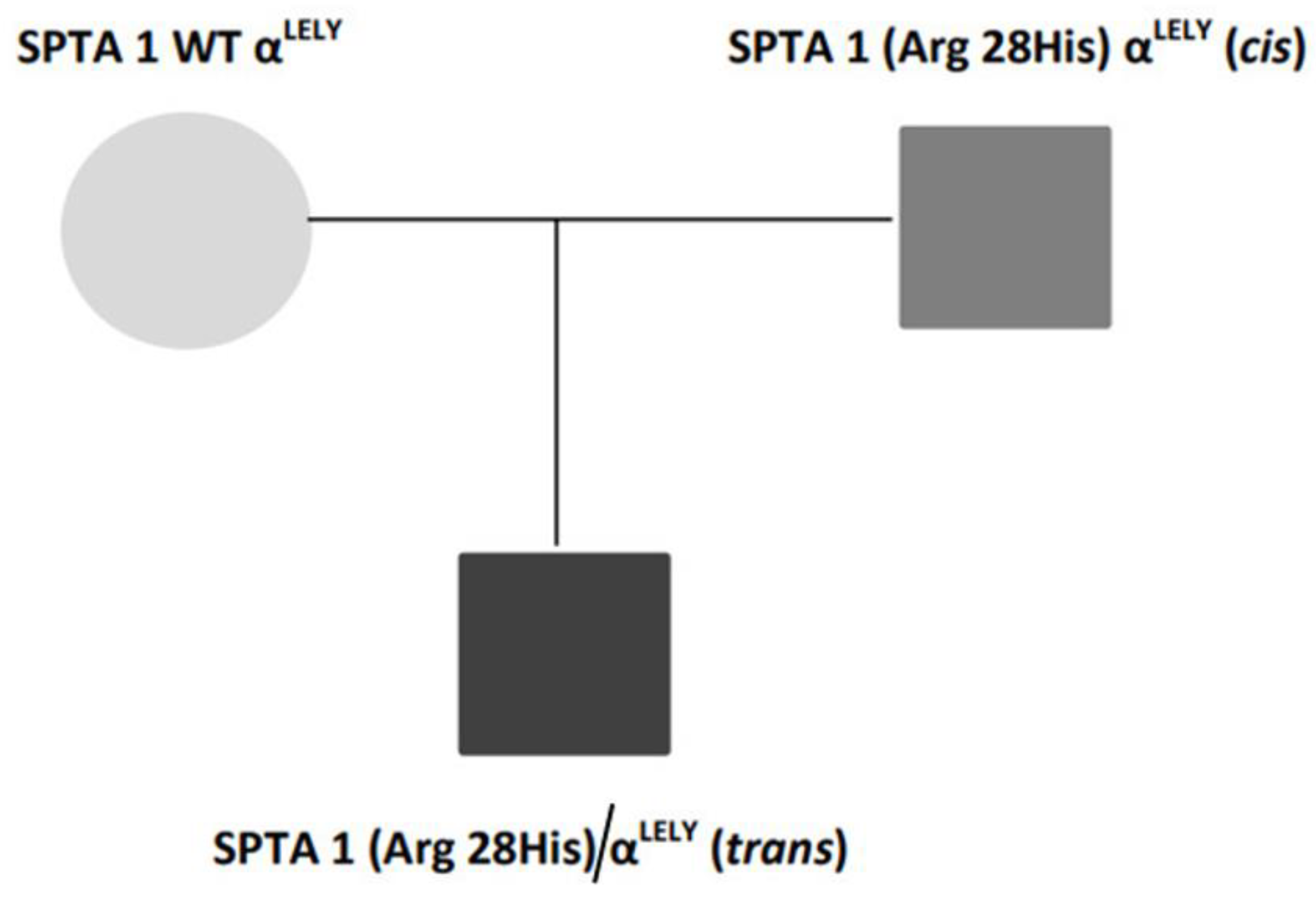 Hematolrep 14 00043 g002 Hematolrep 14 00043 g002