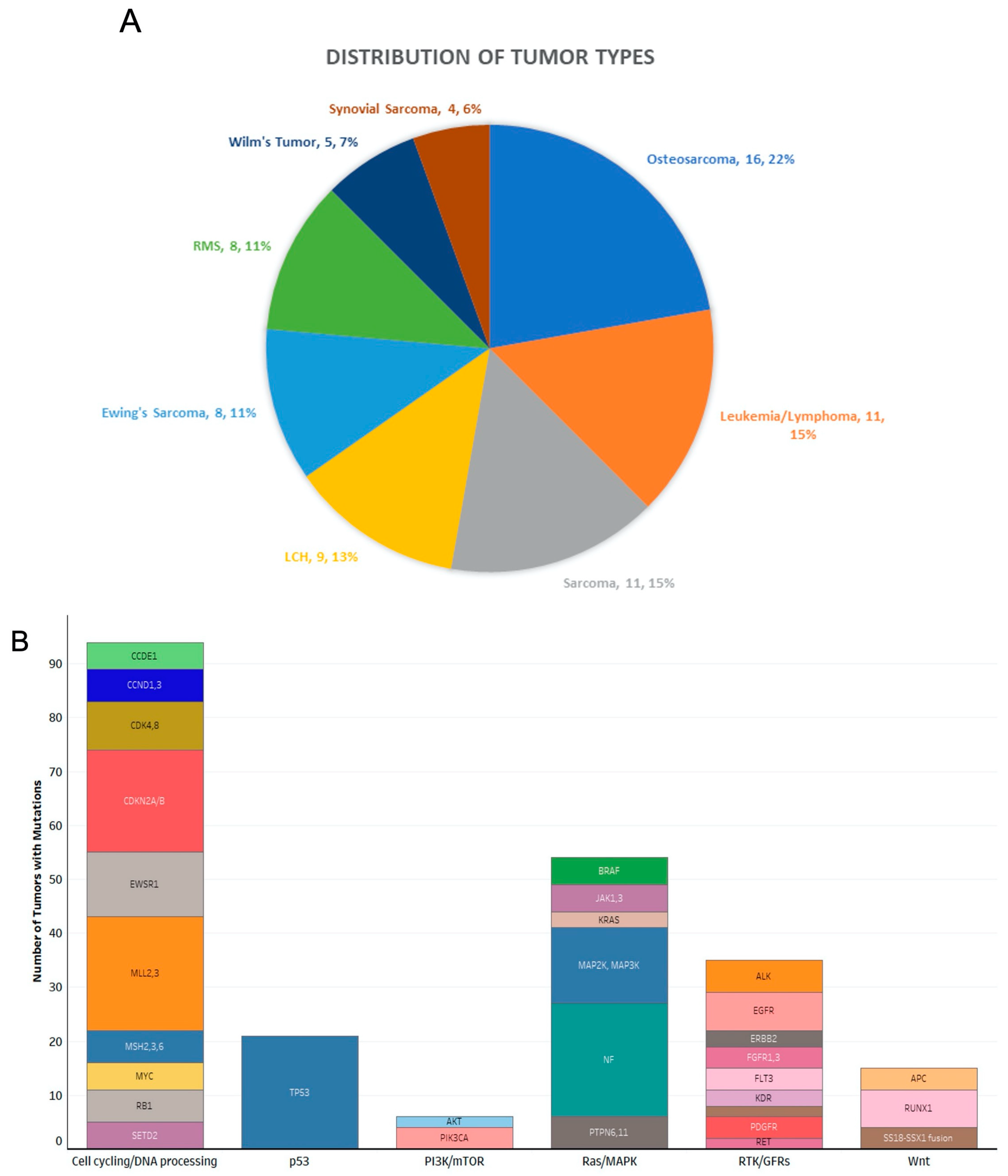 Hematology Reports | Free Full-Text | Molecular Tumor Boards: The Next ...