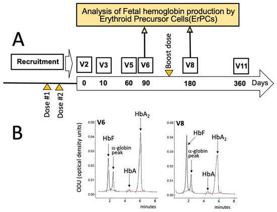 Hematology Reports | Free Full-Text | Effects of Sirolimus