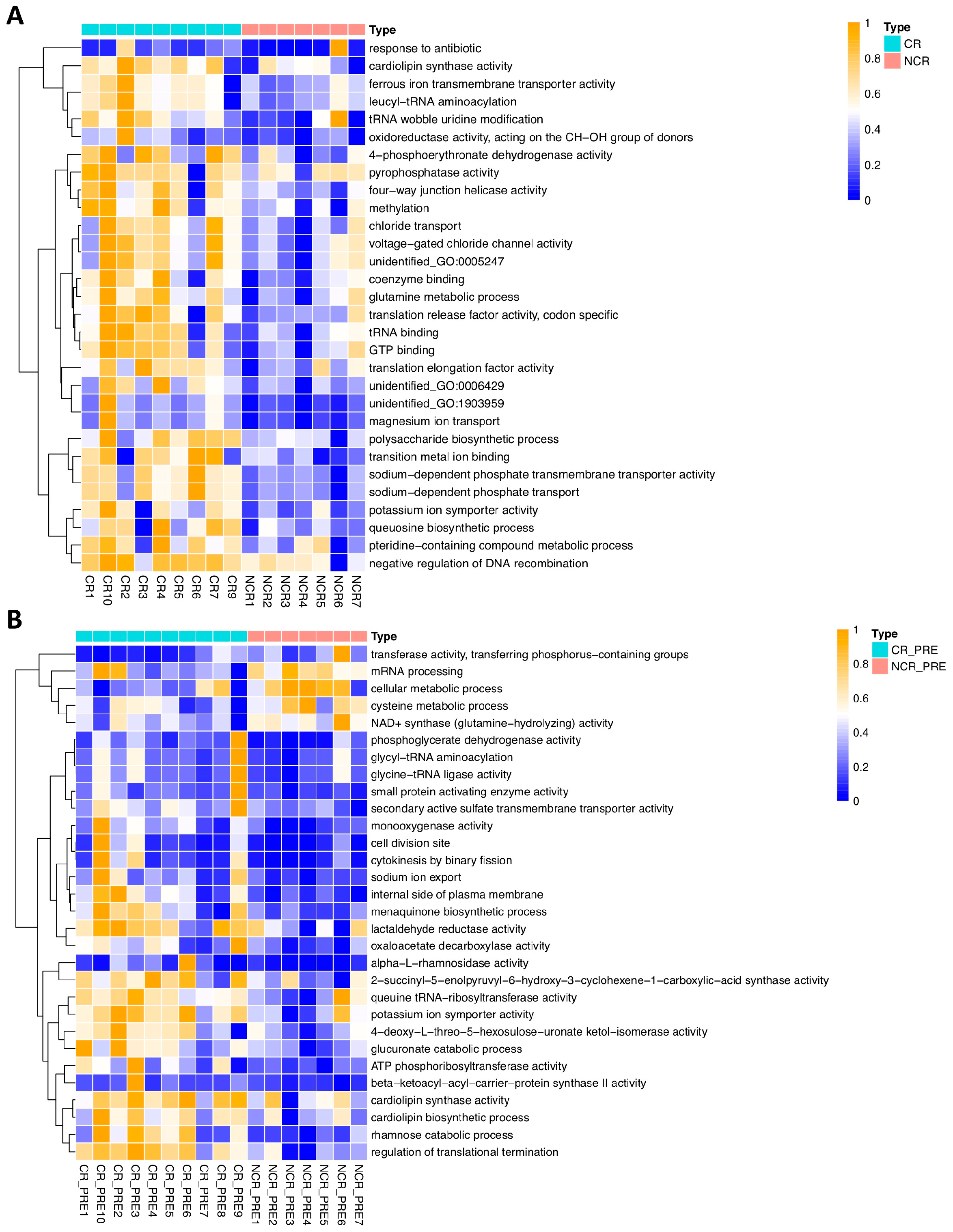 Hematolrep 16 00007 g004