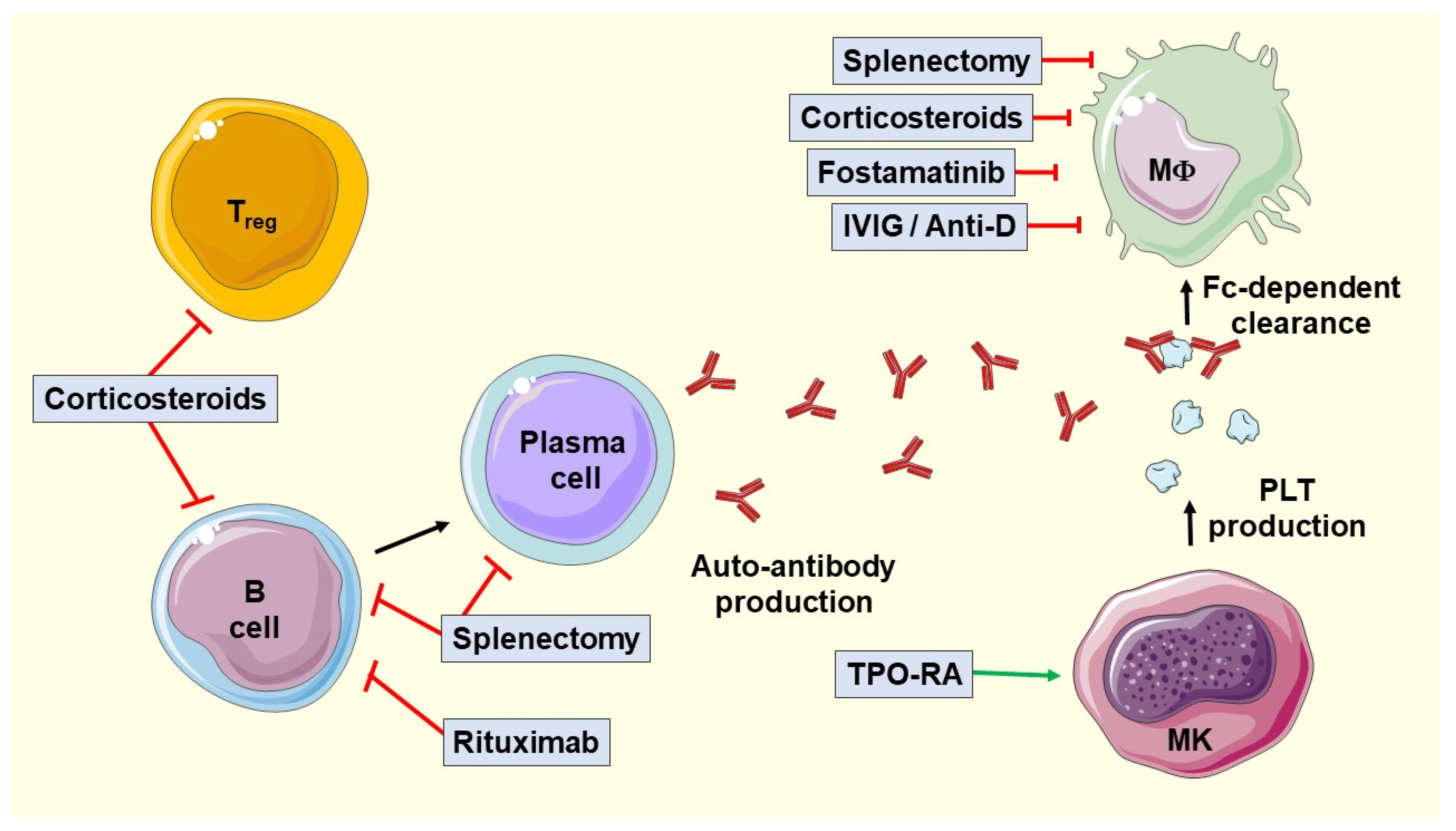 Hematolrep 16 00039 g001