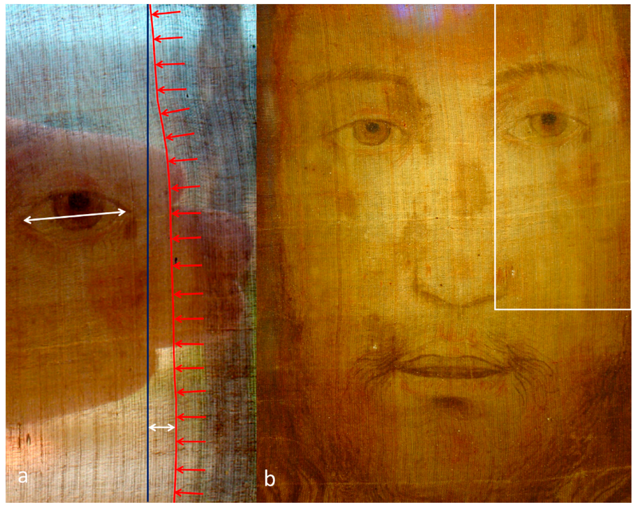 Heritage | Free Full-Text | Imaging Analysis and Digital Restoration of the  Holy Face of Manoppello—Part I | HTML