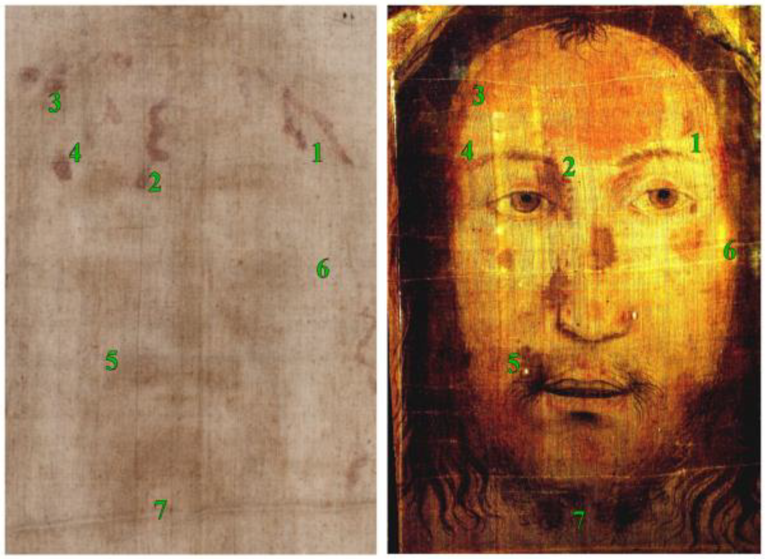 Heritage | Free Full-Text | A Comparison between the Face of the Veil of  Manoppello and the Face of the Shroud of Turin