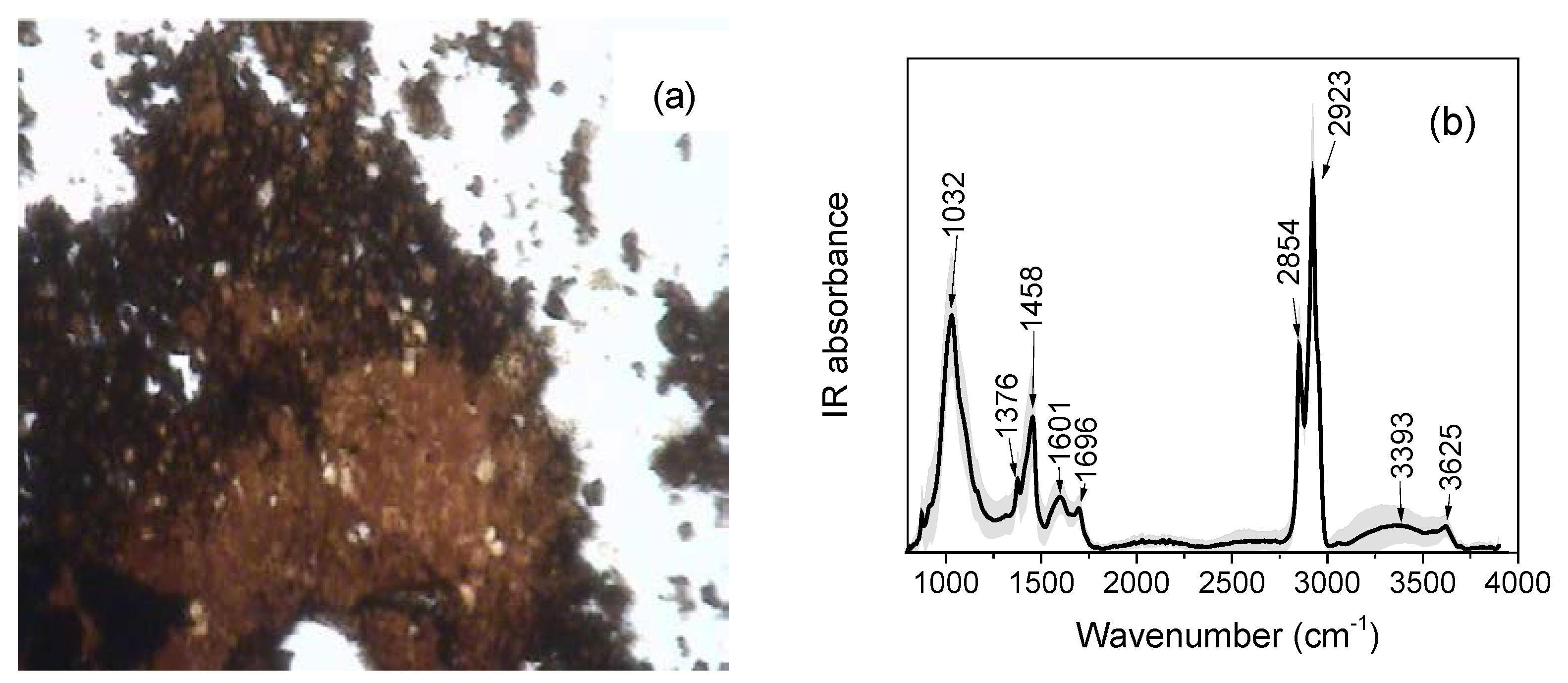 Heritage 02 00113 g014 Heritage 02 00113 g014