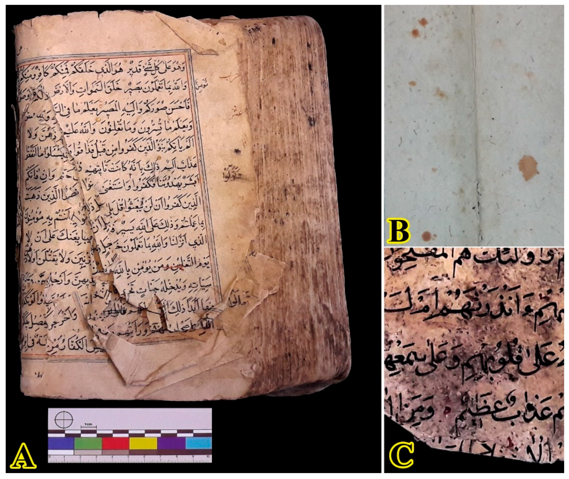 Heritage | Free Full-Text | Paper Foxing Stains on a Historic Manuscript  from the Early Qajar Era: Abiotic or Biotic Foxing?