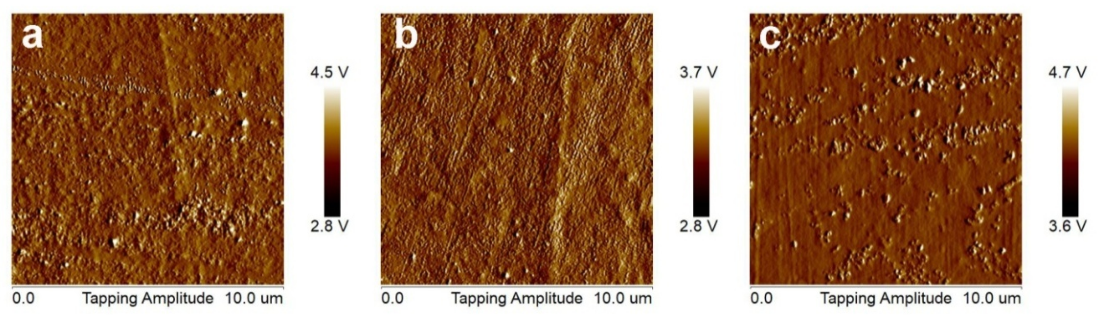 Heritage 04 00115 g004