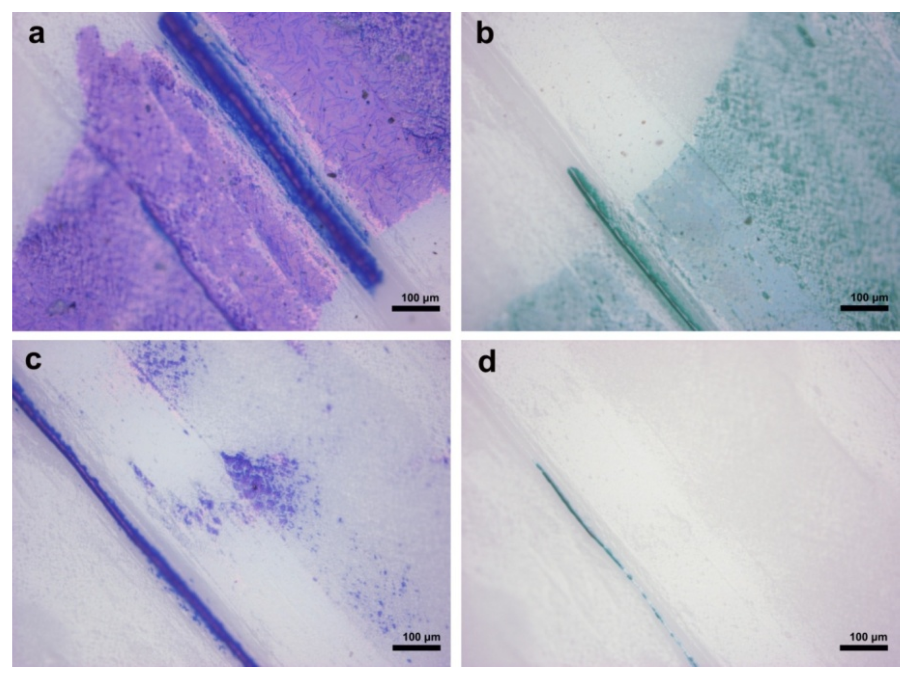 Heritage 04 00115 g009