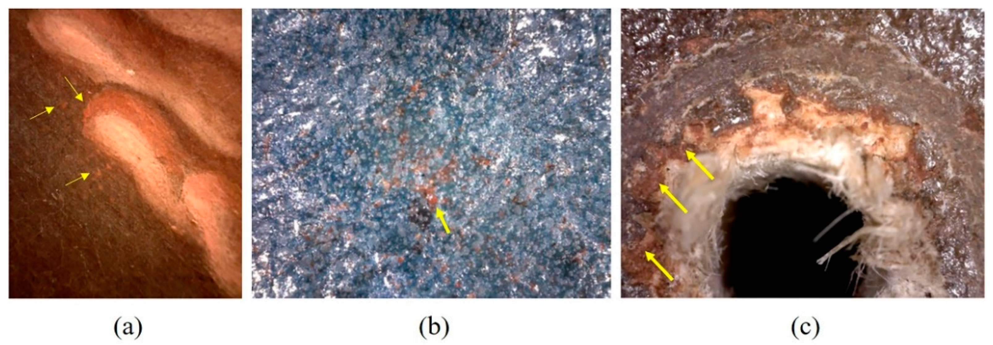 heritage free full text multispectral imaging and p xrf for the non invasive characterization of the anonymous devotional painting maria santissima delle grazie from mirabella imbaccari sicily italy html