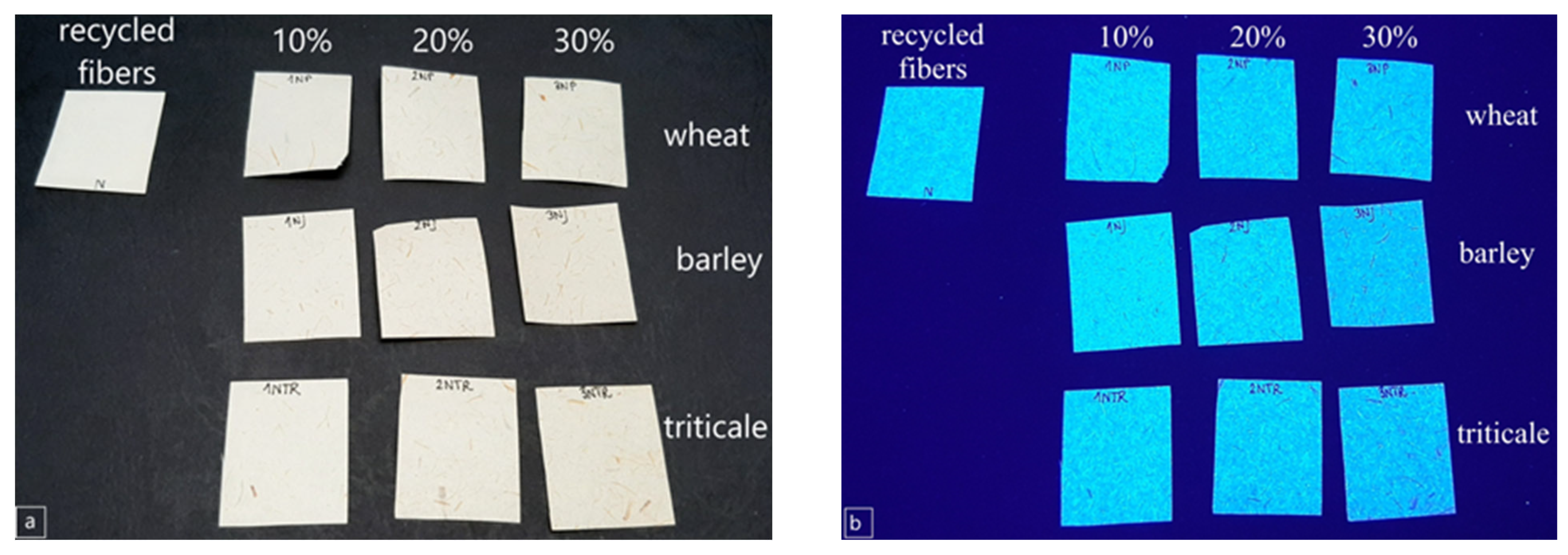 Heritage 05 00095 g005