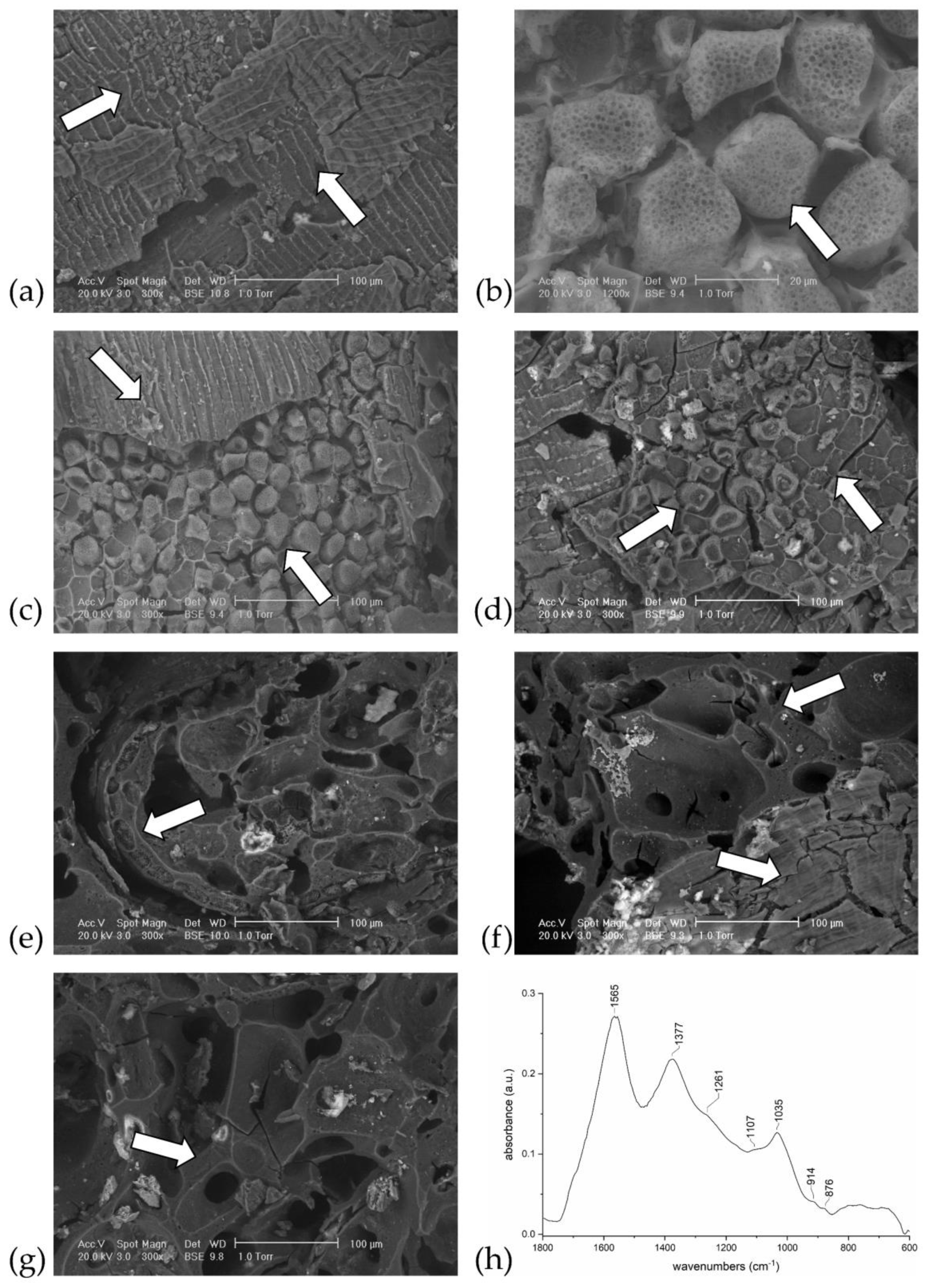 Heritage 06 00047 g007