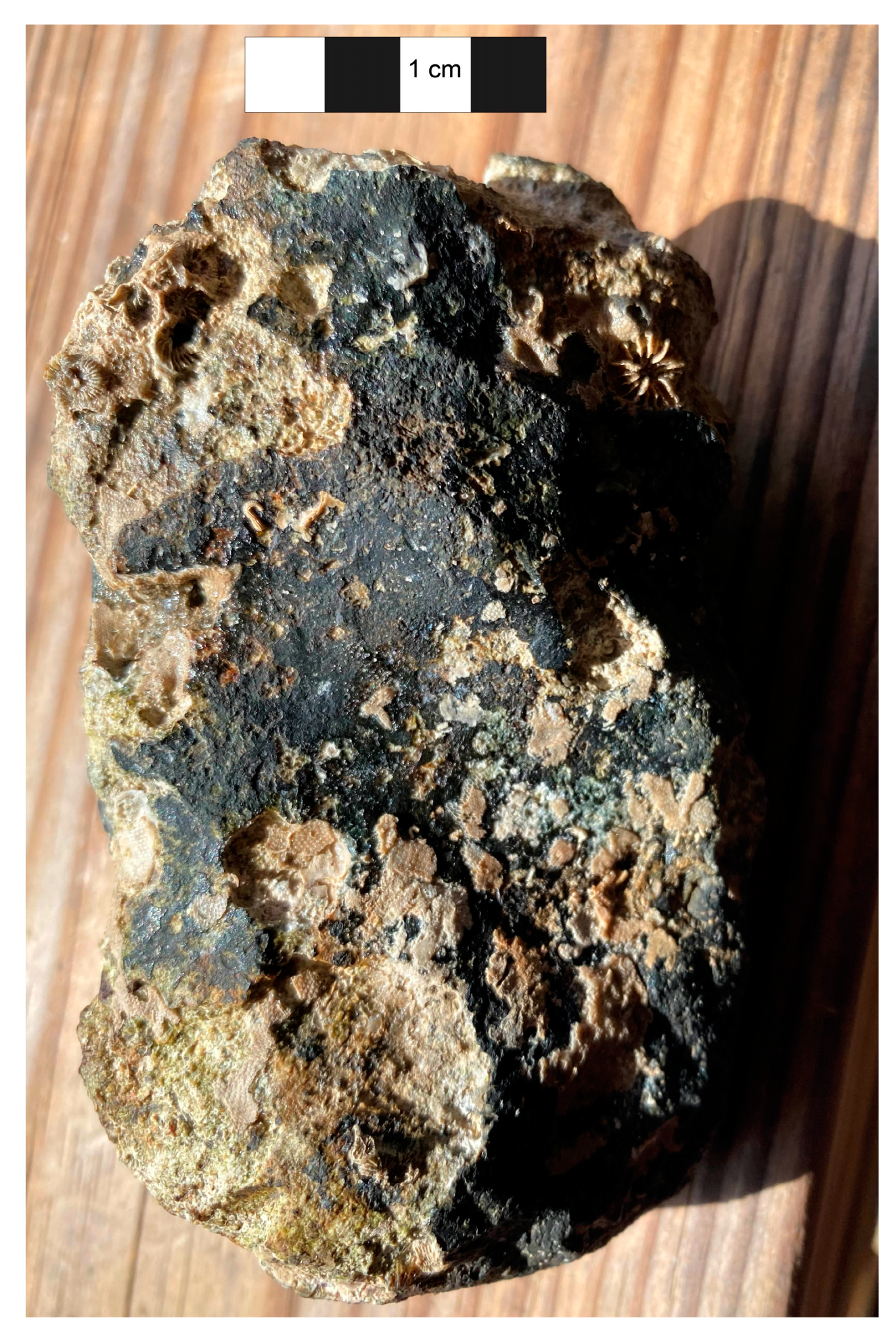 Heritage 06 00051 g003