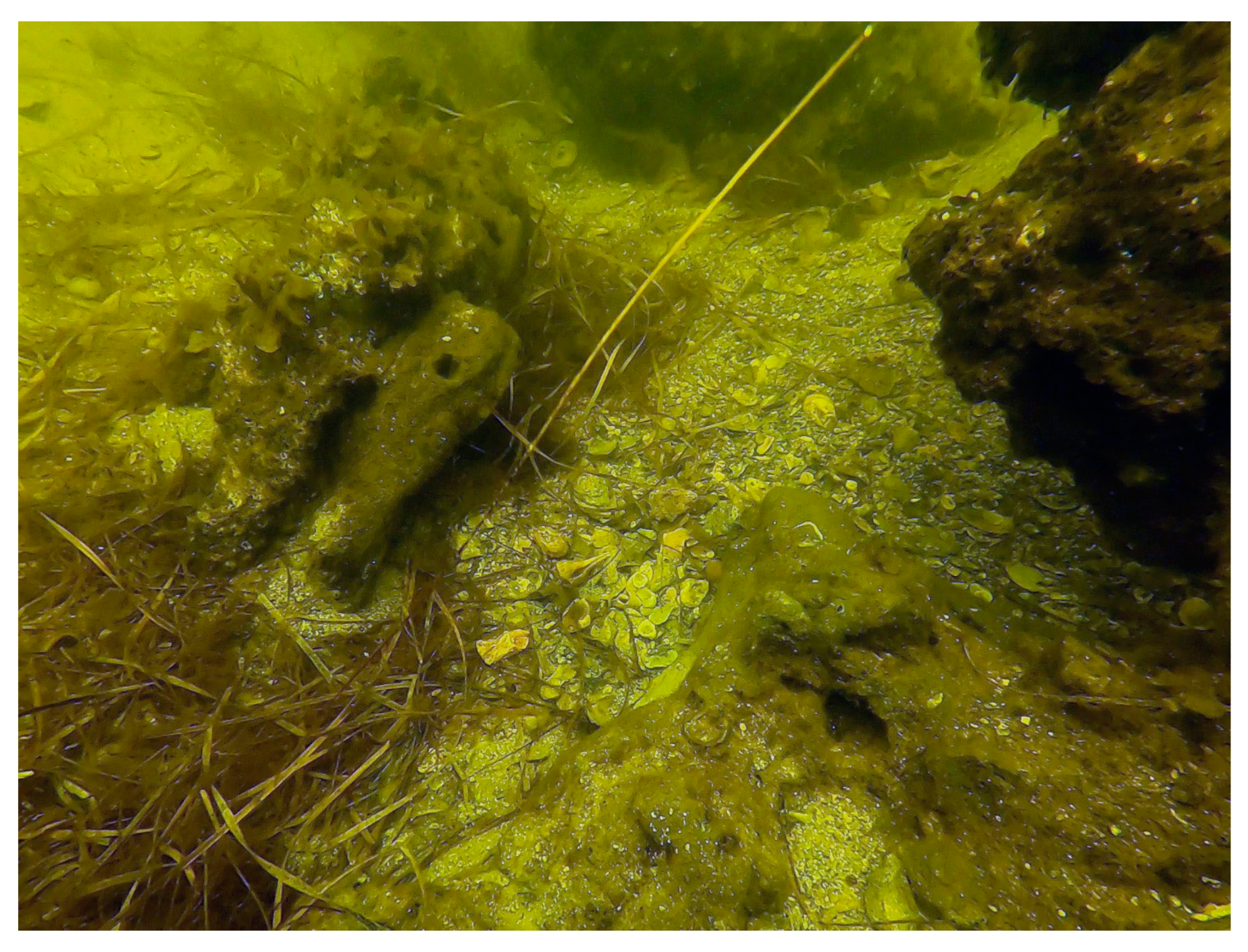 Heritage 06 00051 g005