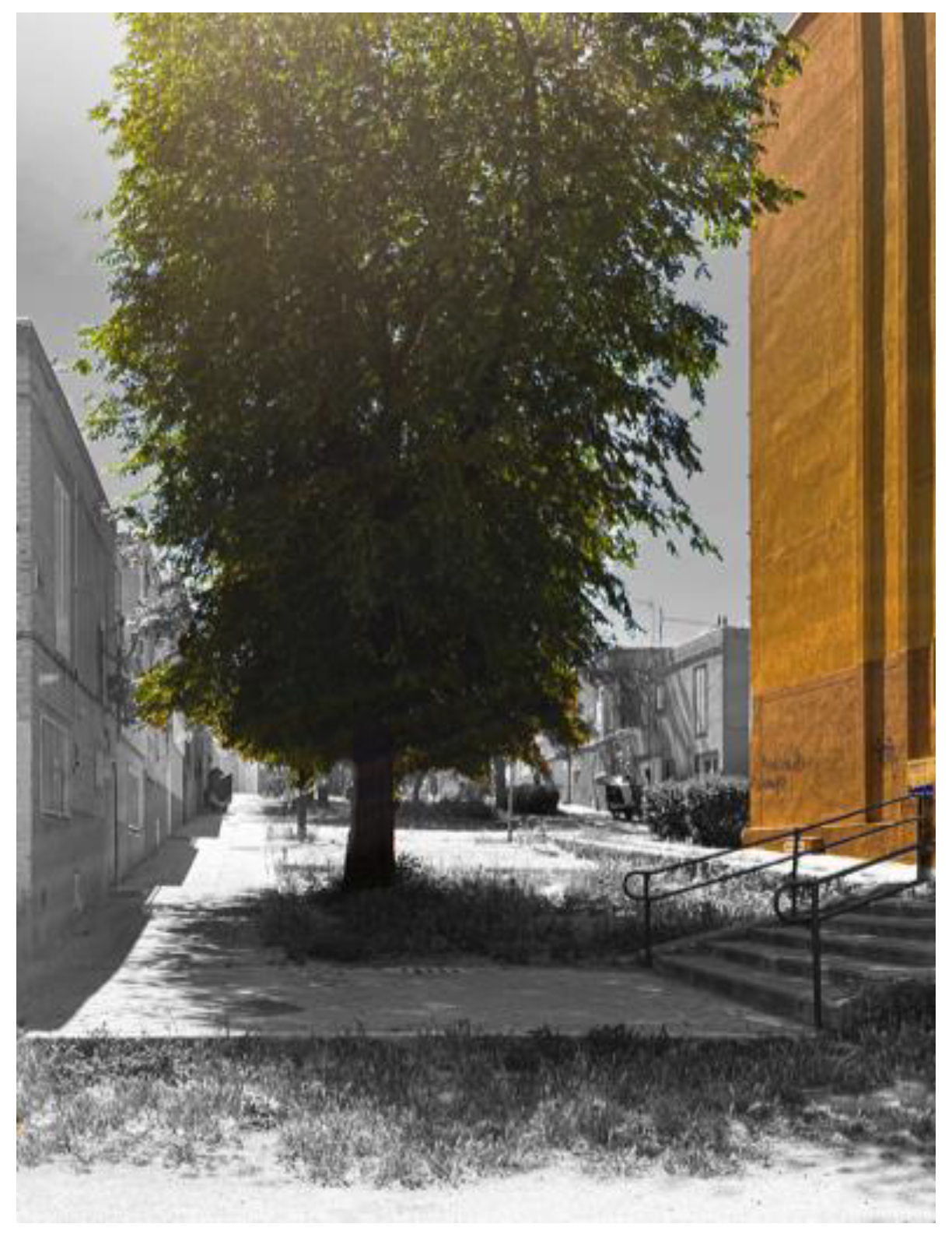 Heritage 07 00111 g019