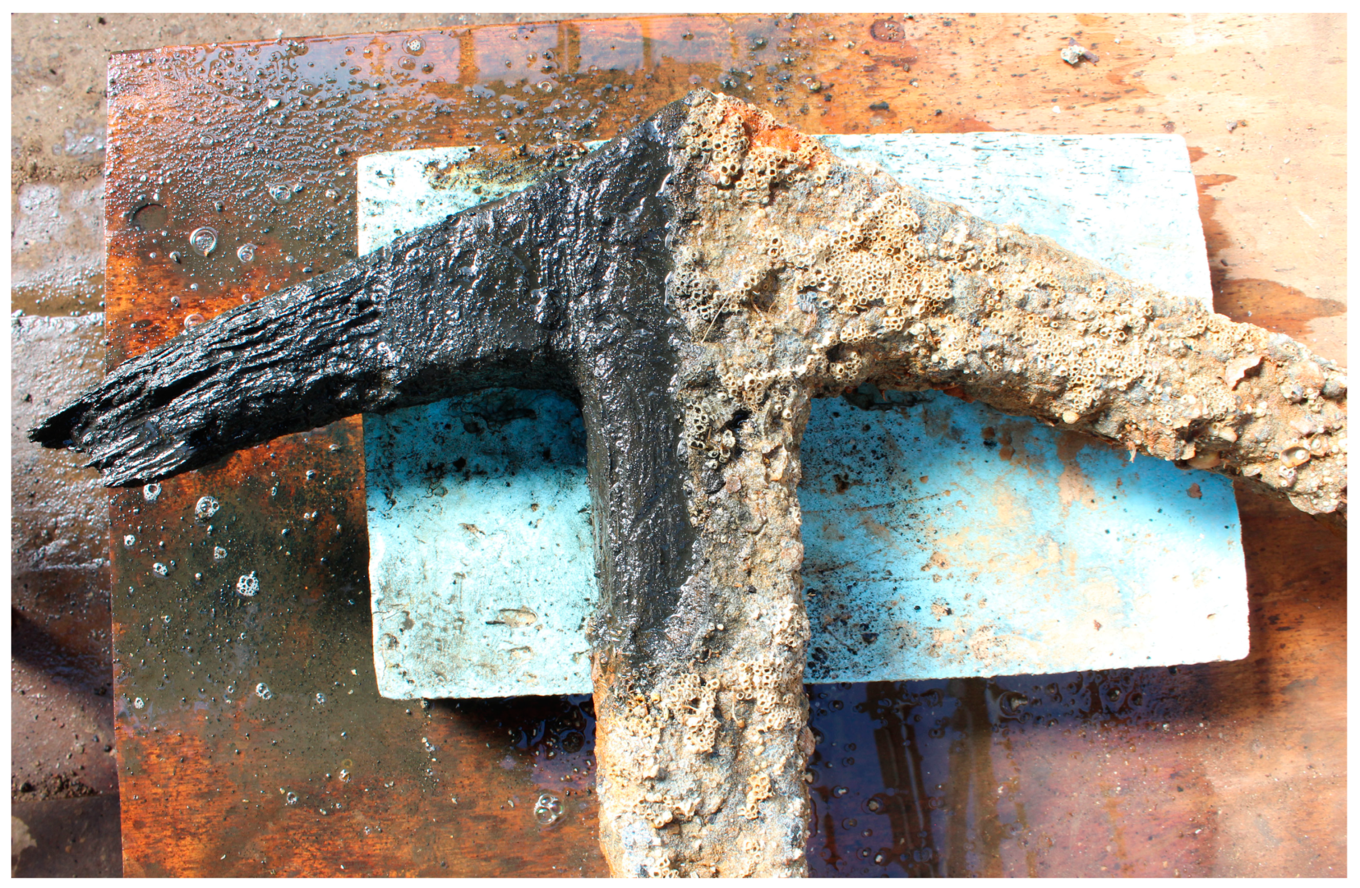 Heritage 07 00122 g006