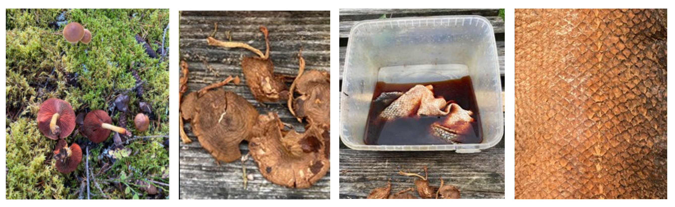 Heritage 07 00173 g010 Heritage 07 00173 g010