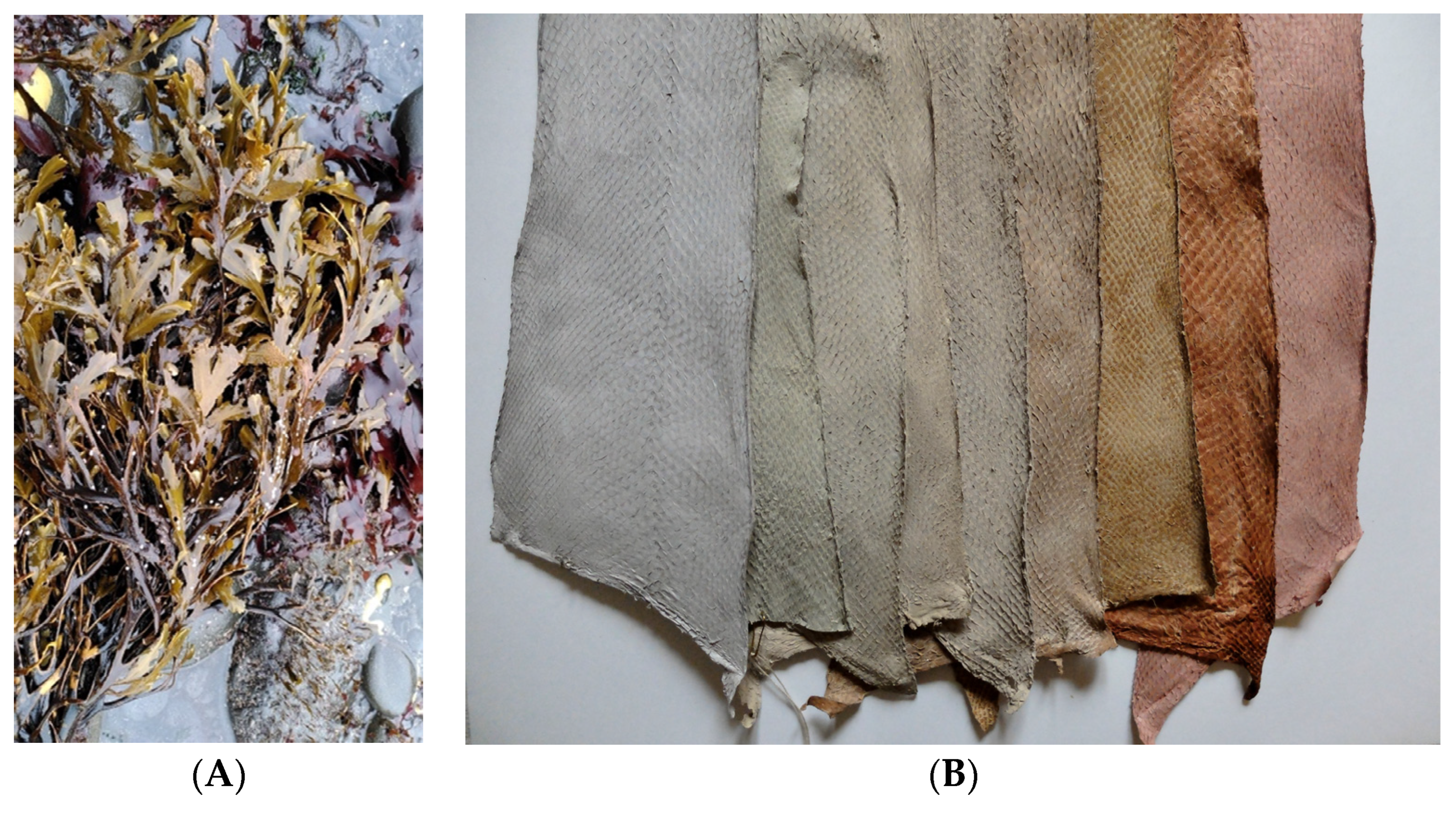 Heritage 07 00173 g013 Heritage 07 00173 g013