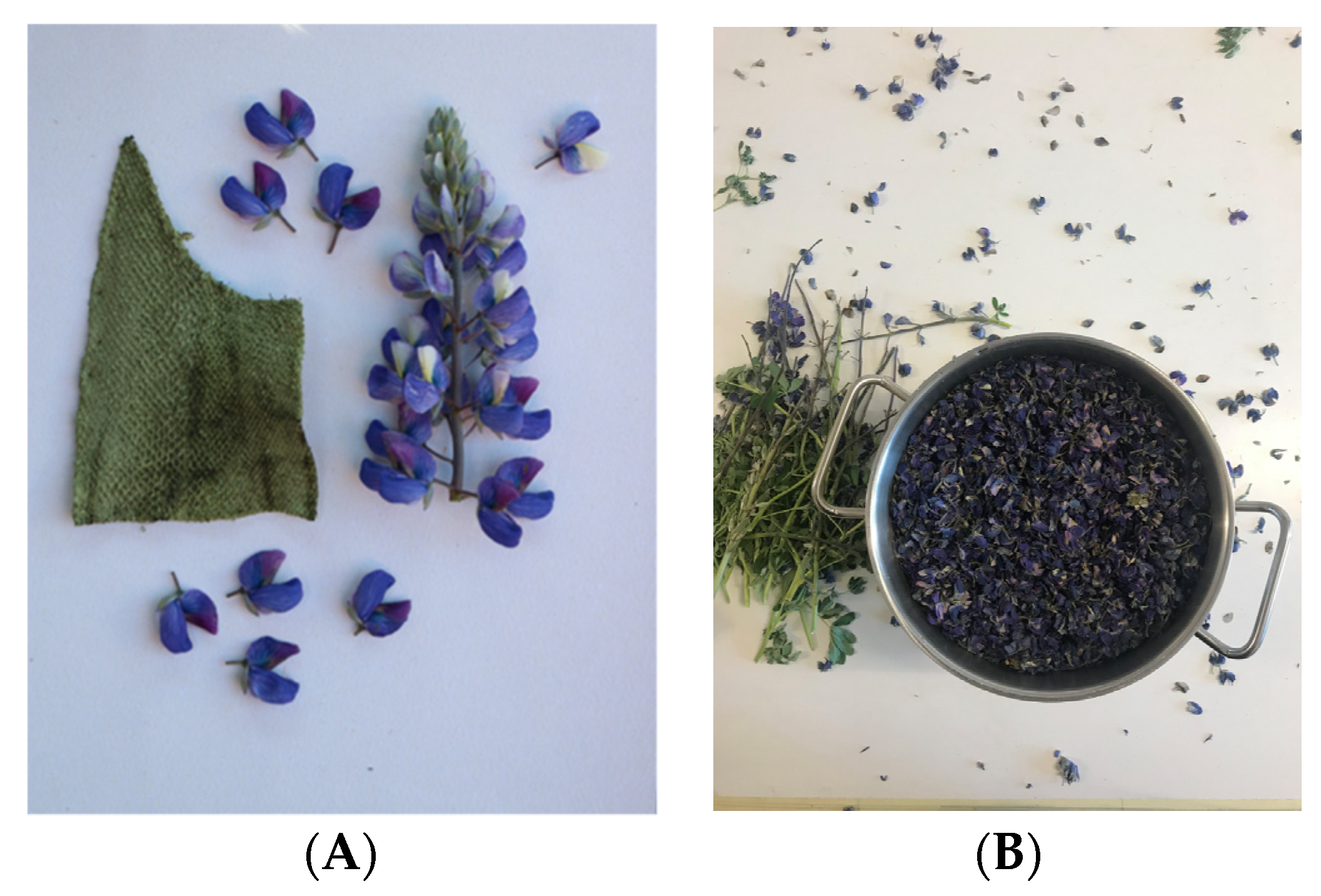 Heritage 07 00173 g014 Heritage 07 00173 g014