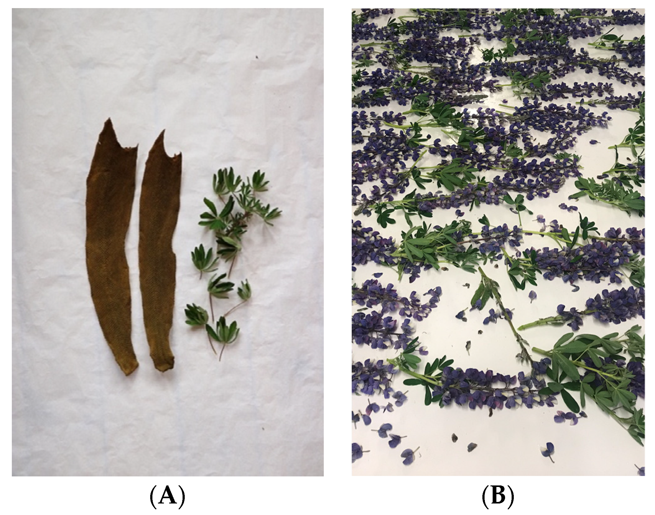 Heritage 07 00173 g015 Heritage 07 00173 g015