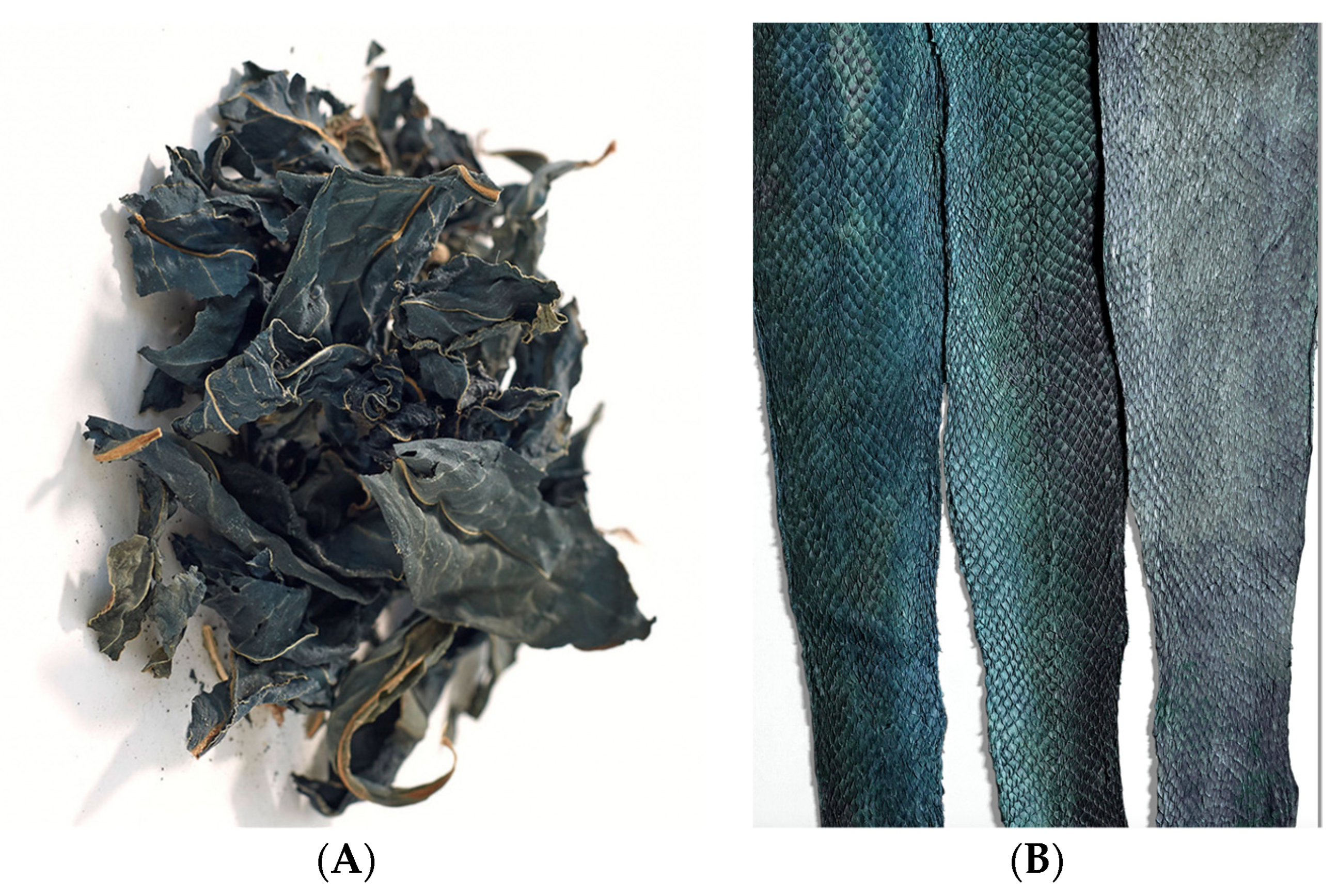 Heritage 07 00173 g023 Heritage 07 00173 g023